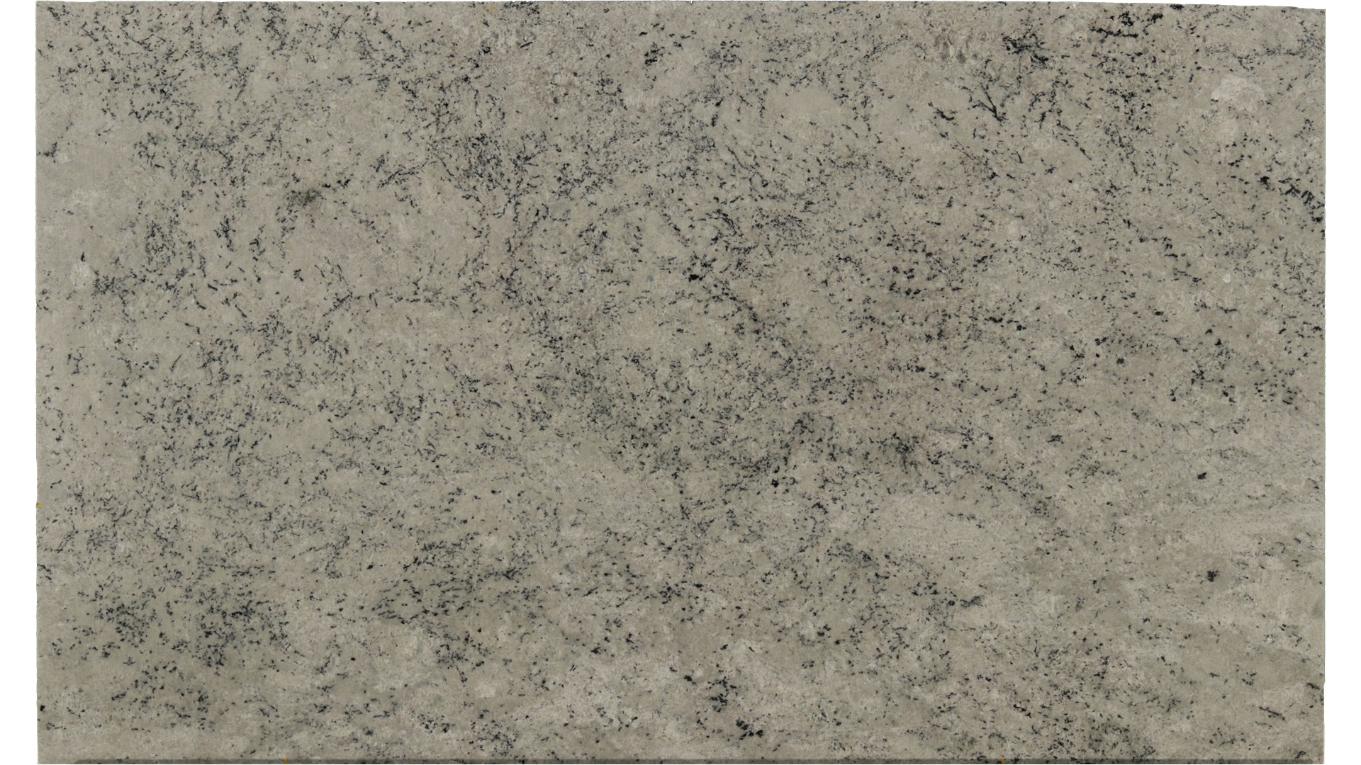 Colonial-White in Atlanta GA