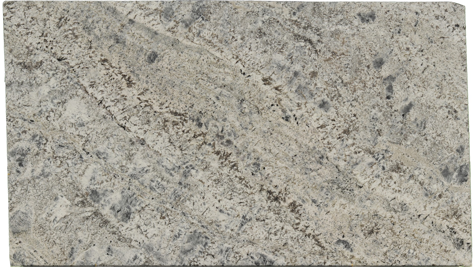 Sparkle-Grey in Atlanta GA