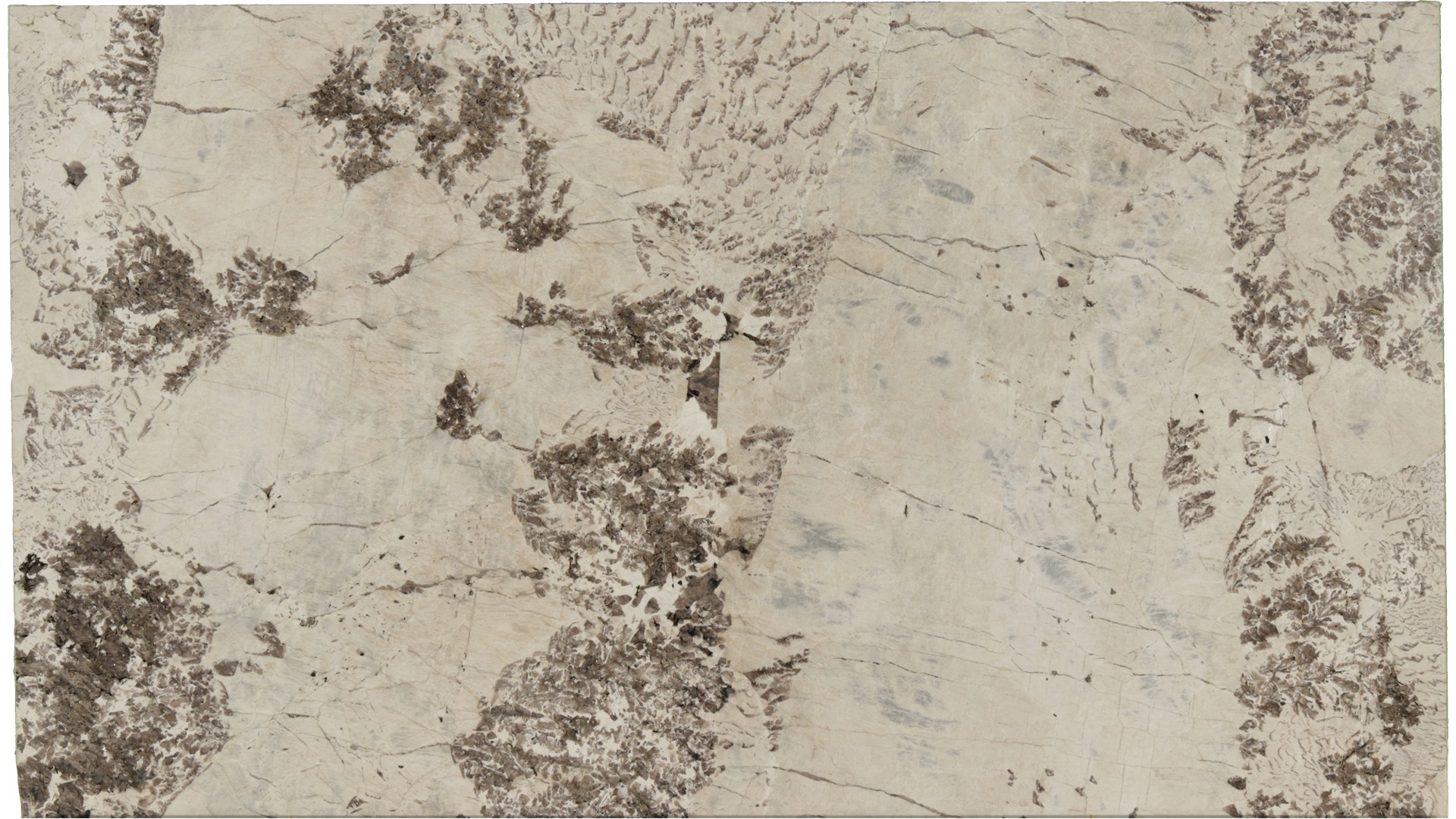 Antionette in Atlanta GA