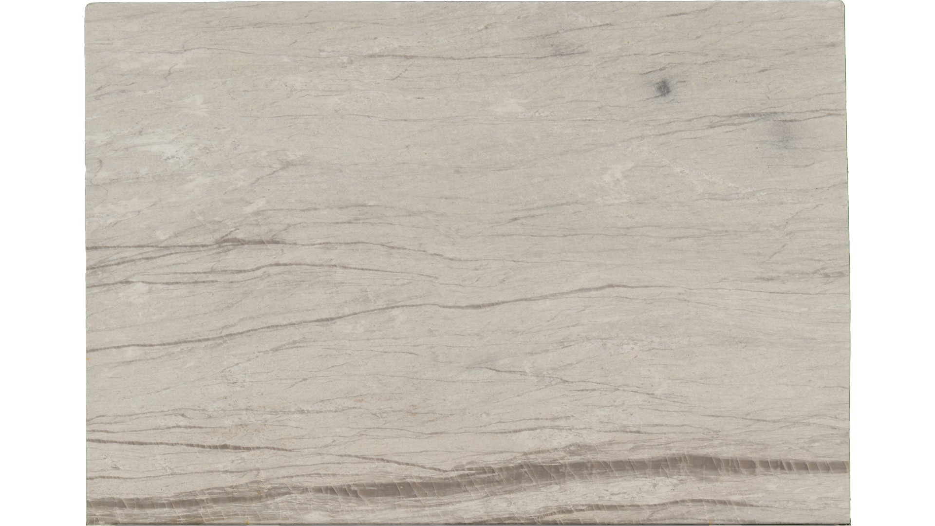 Maharaja in Atlanta GA