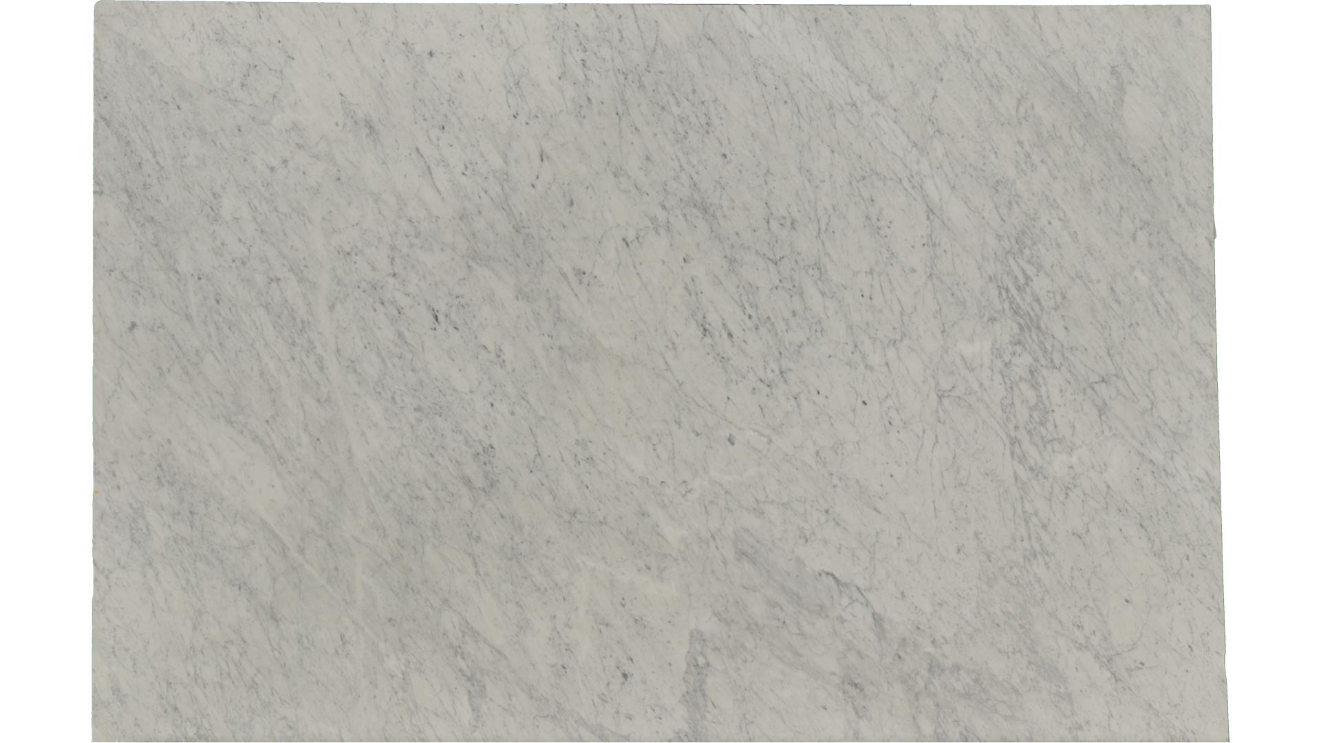 White-Carrara in Atlanta GA