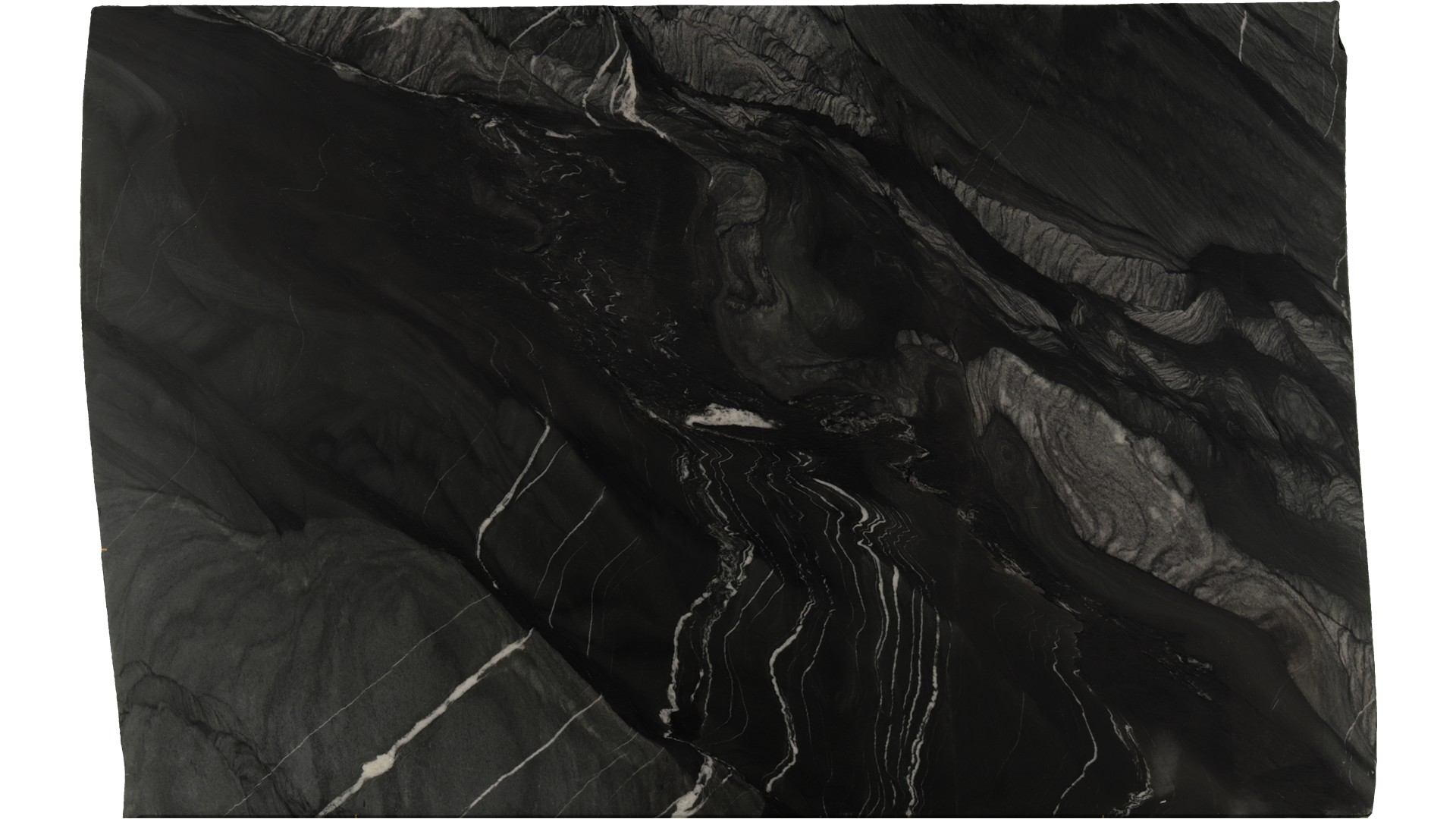 Black-Tempest in Atlanta GA