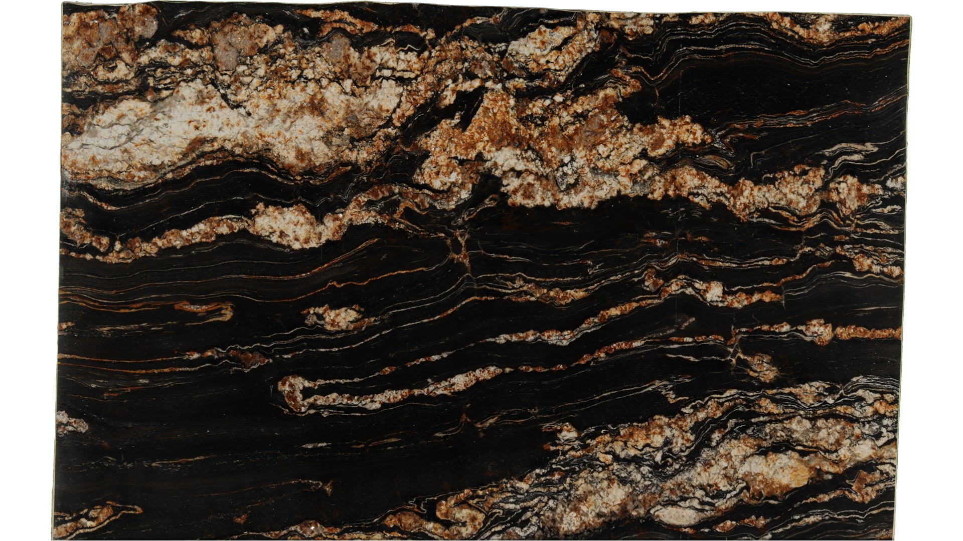 Black-Taurus in Atlanta GA