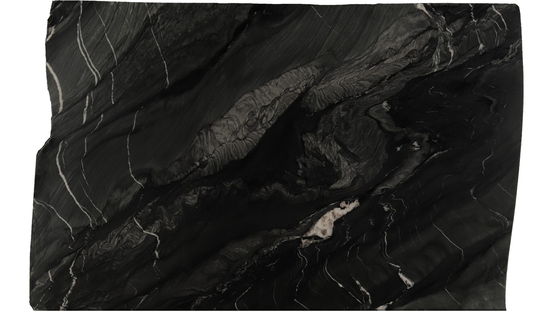 Black-Tempest in Atlanta GA