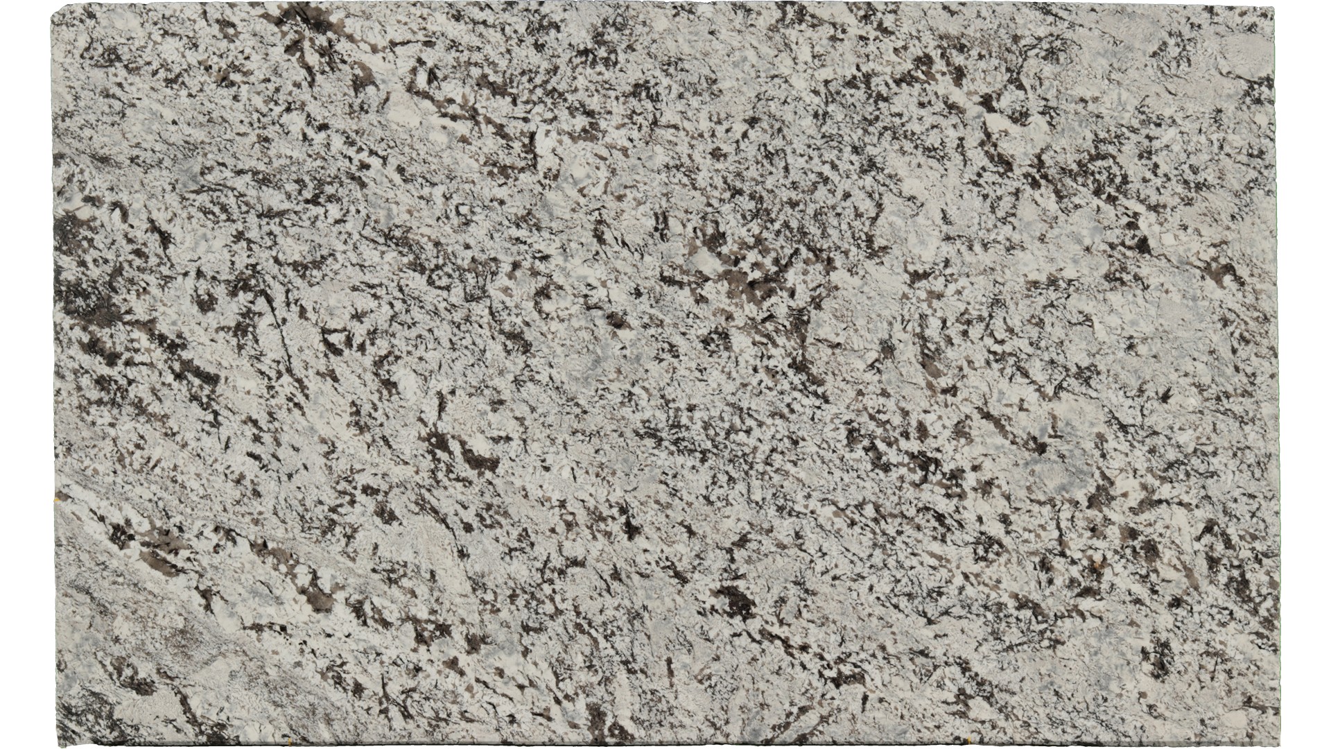 Lennon in Atlanta GA