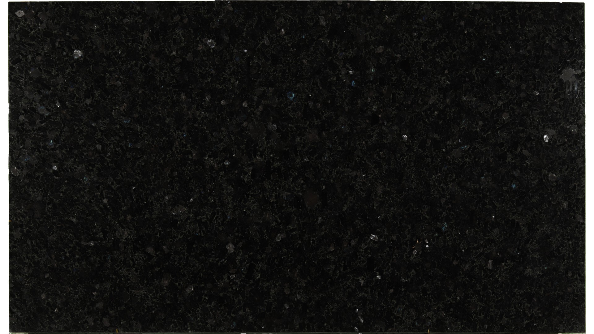 Volga-Blue-Classic in Atlanta GA