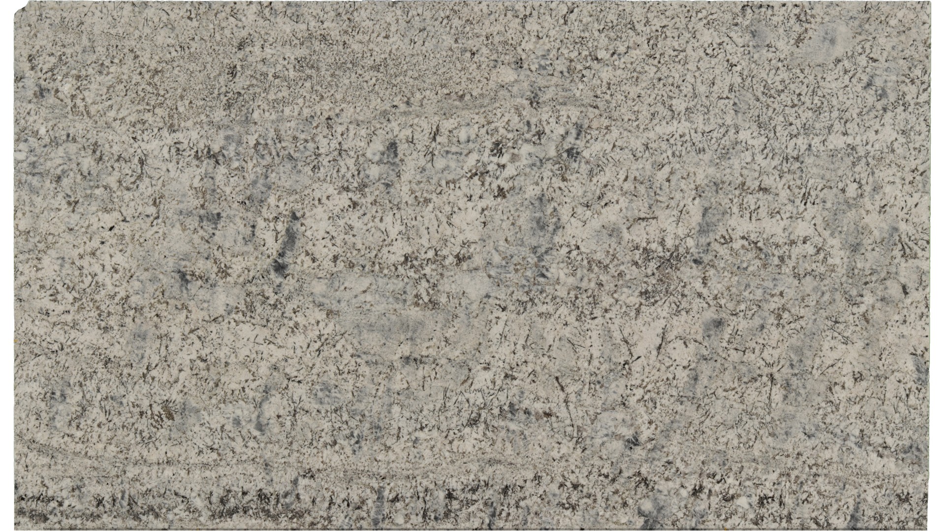 Alaska-Blue in Atlanta GA