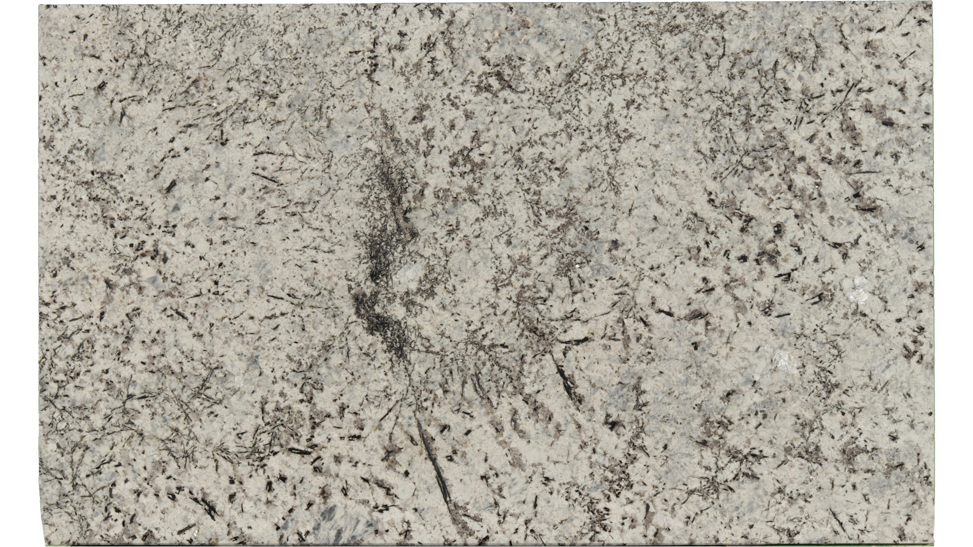 Persa-Blue in Atlanta GA