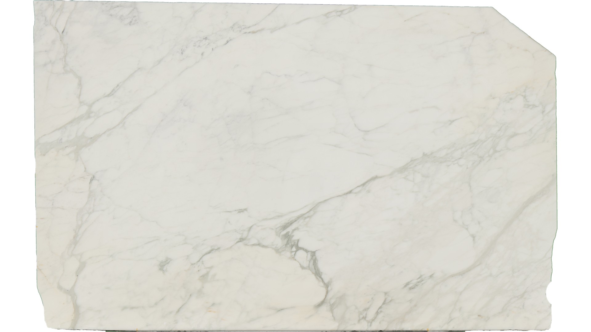 Calacatta-Caldia in Atlanta GA