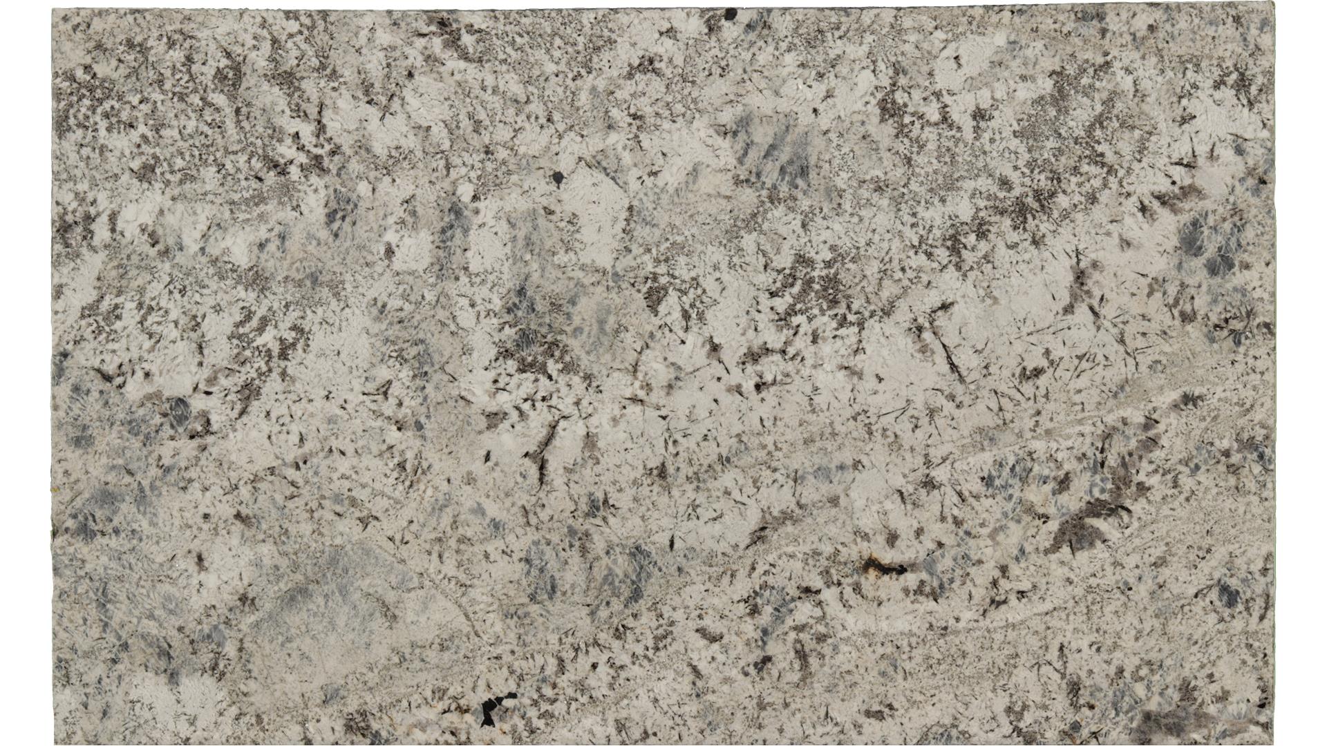 Sparkle-Grey in Atlanta GA