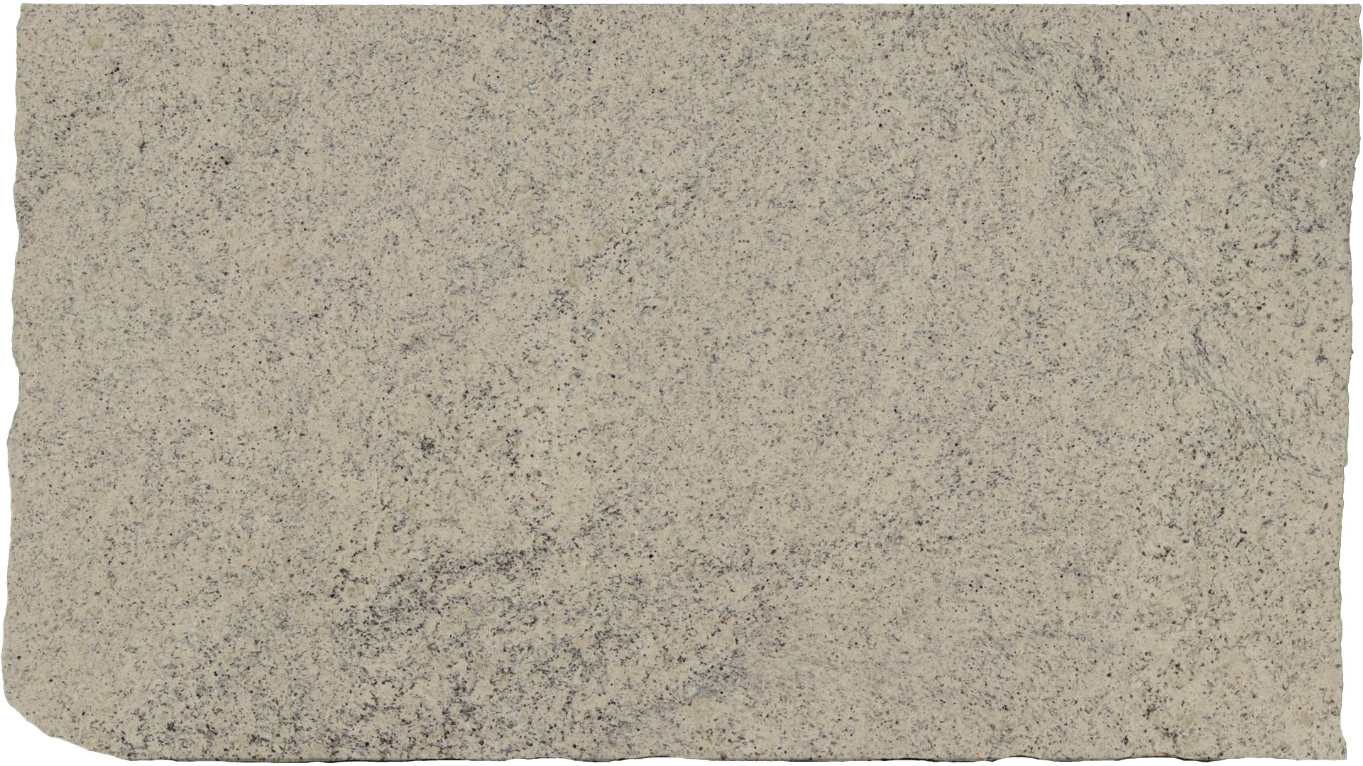 Dallas-White in Atlanta GA