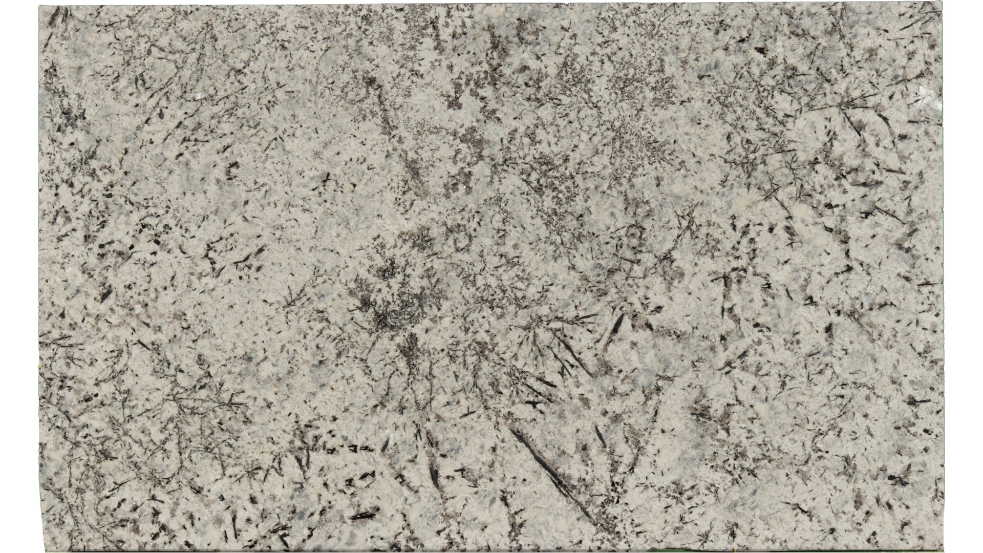 Persa-Blue in Atlanta GA