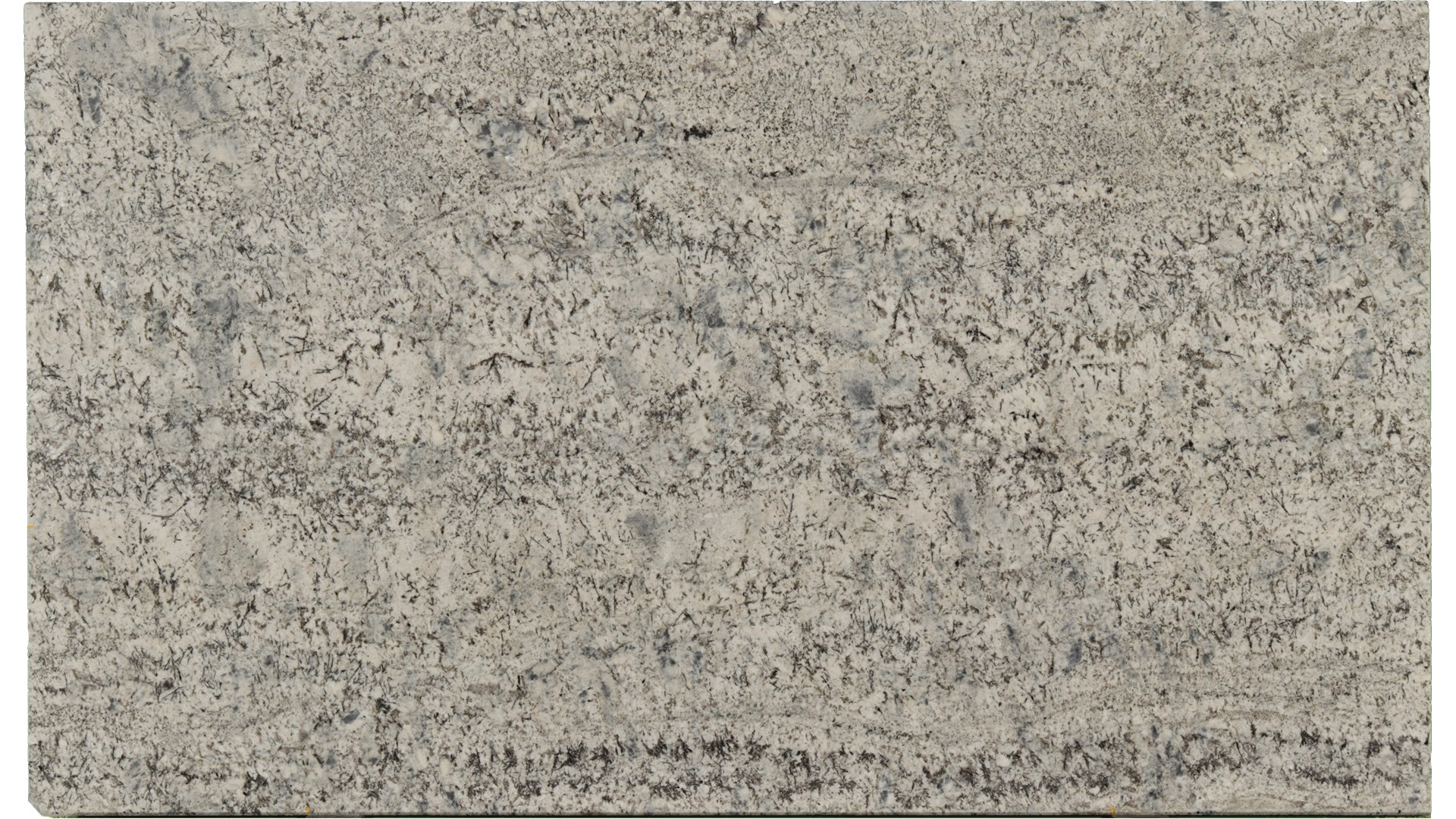 Alaska-Blue in Atlanta GA