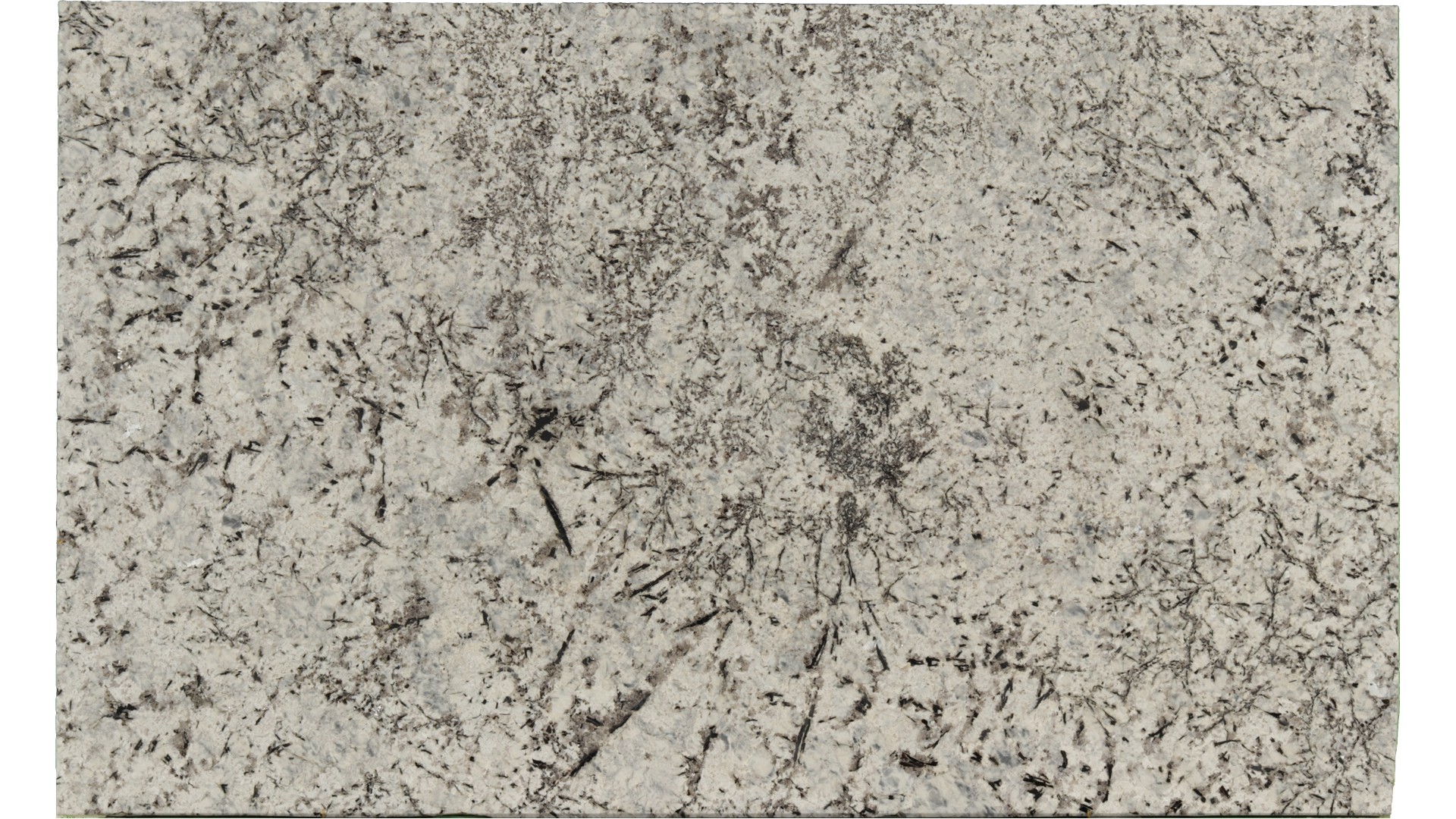 Persa-Blue in Atlanta GA