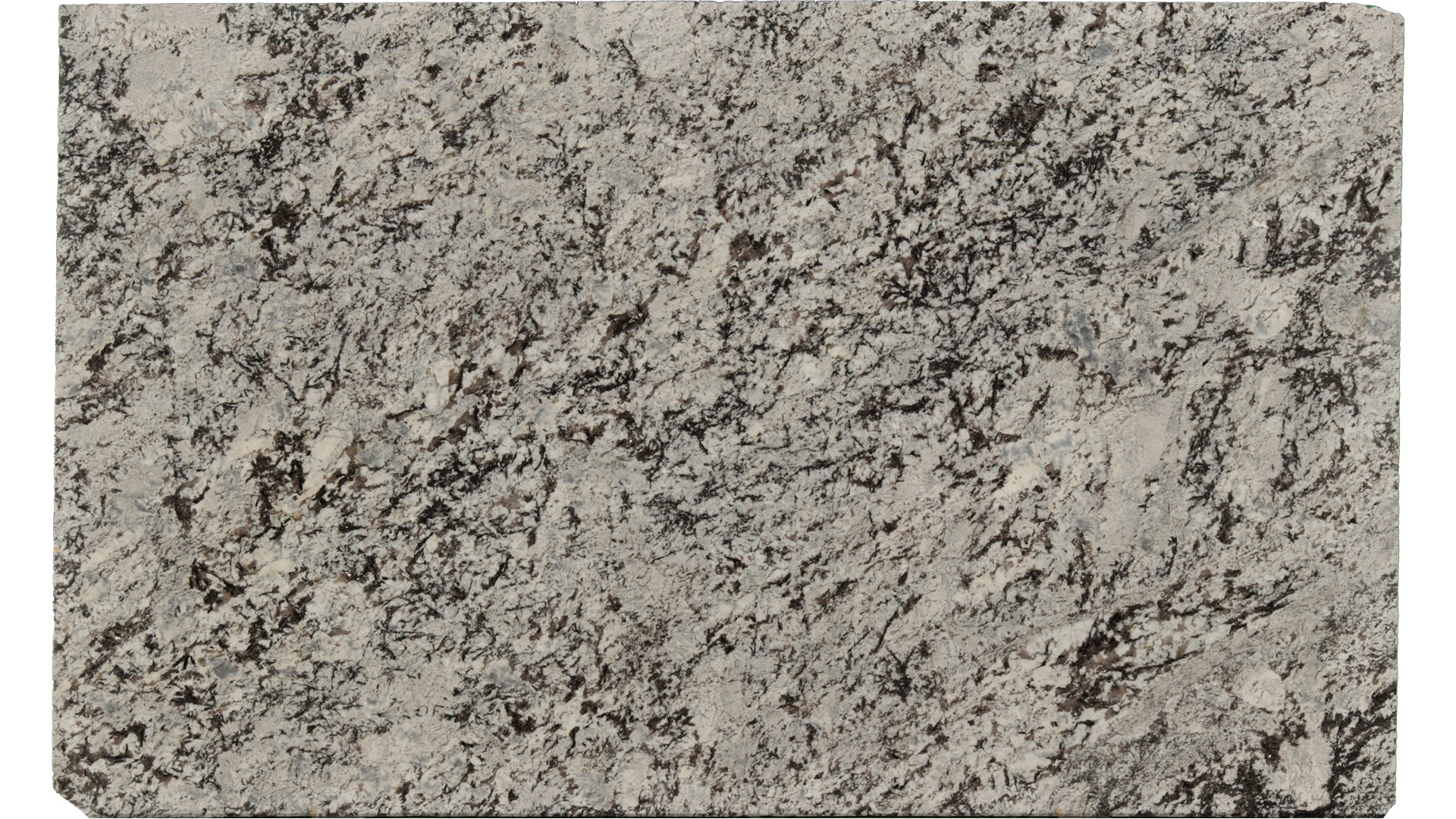 Lennon in Atlanta GA