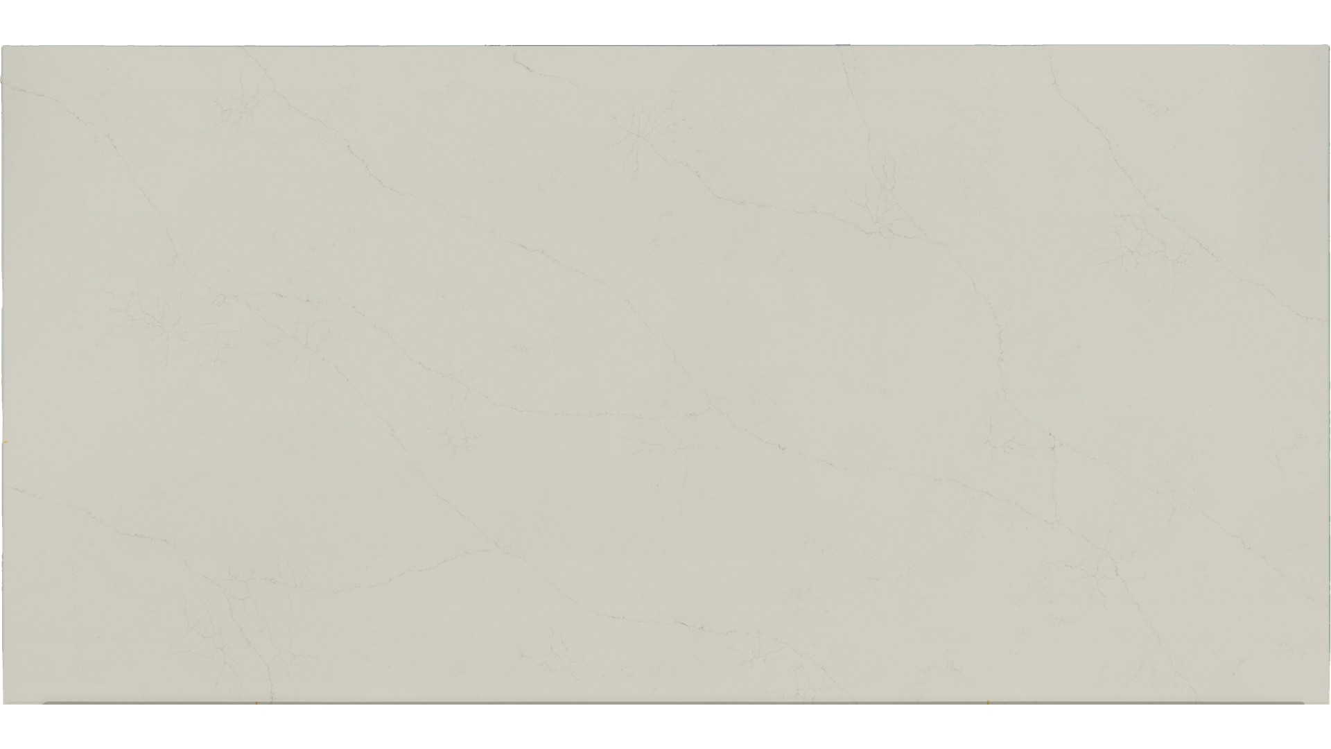 Tributary in Atlanta GA