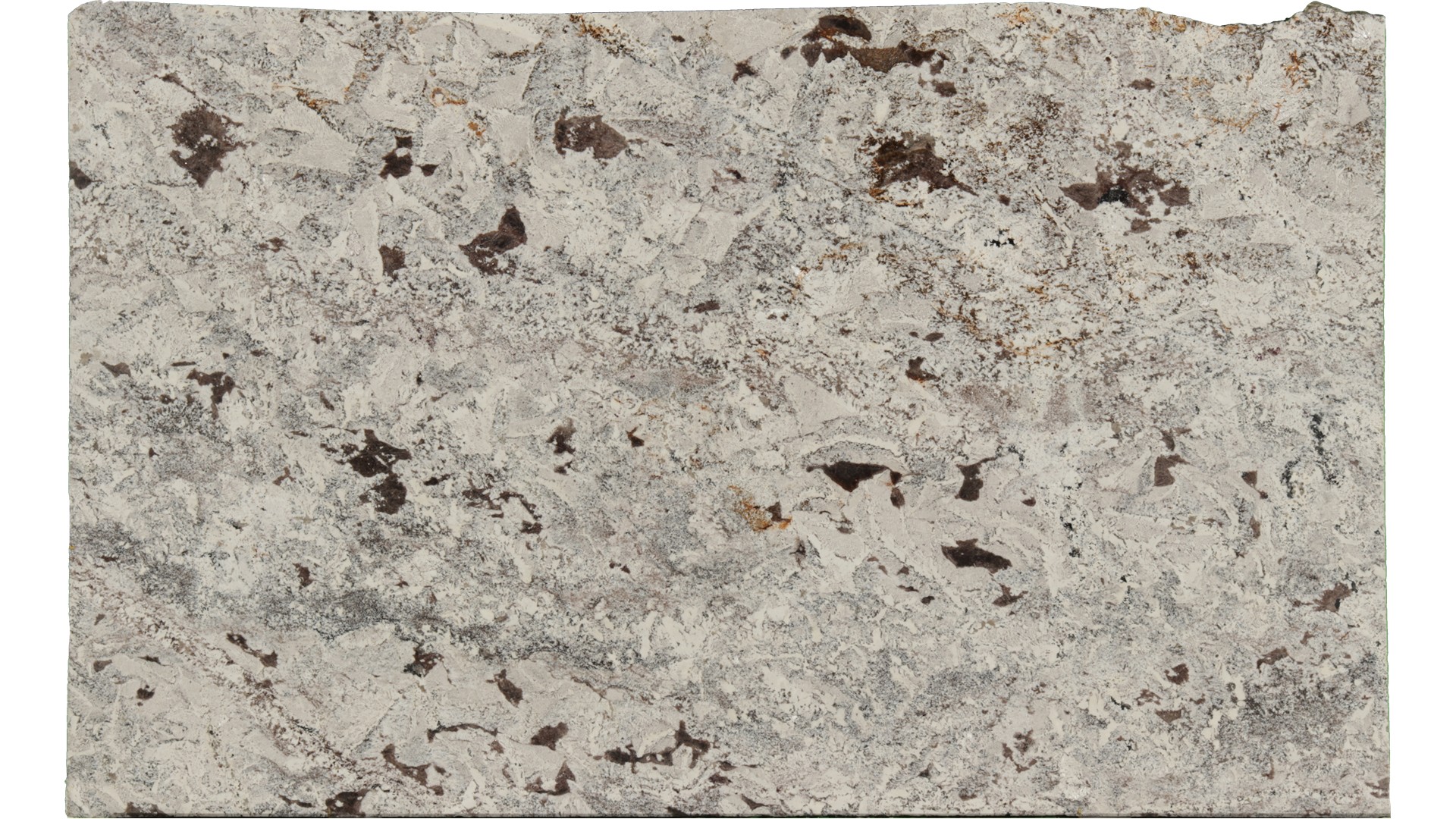 Crazy-Horse-White in Atlanta GA