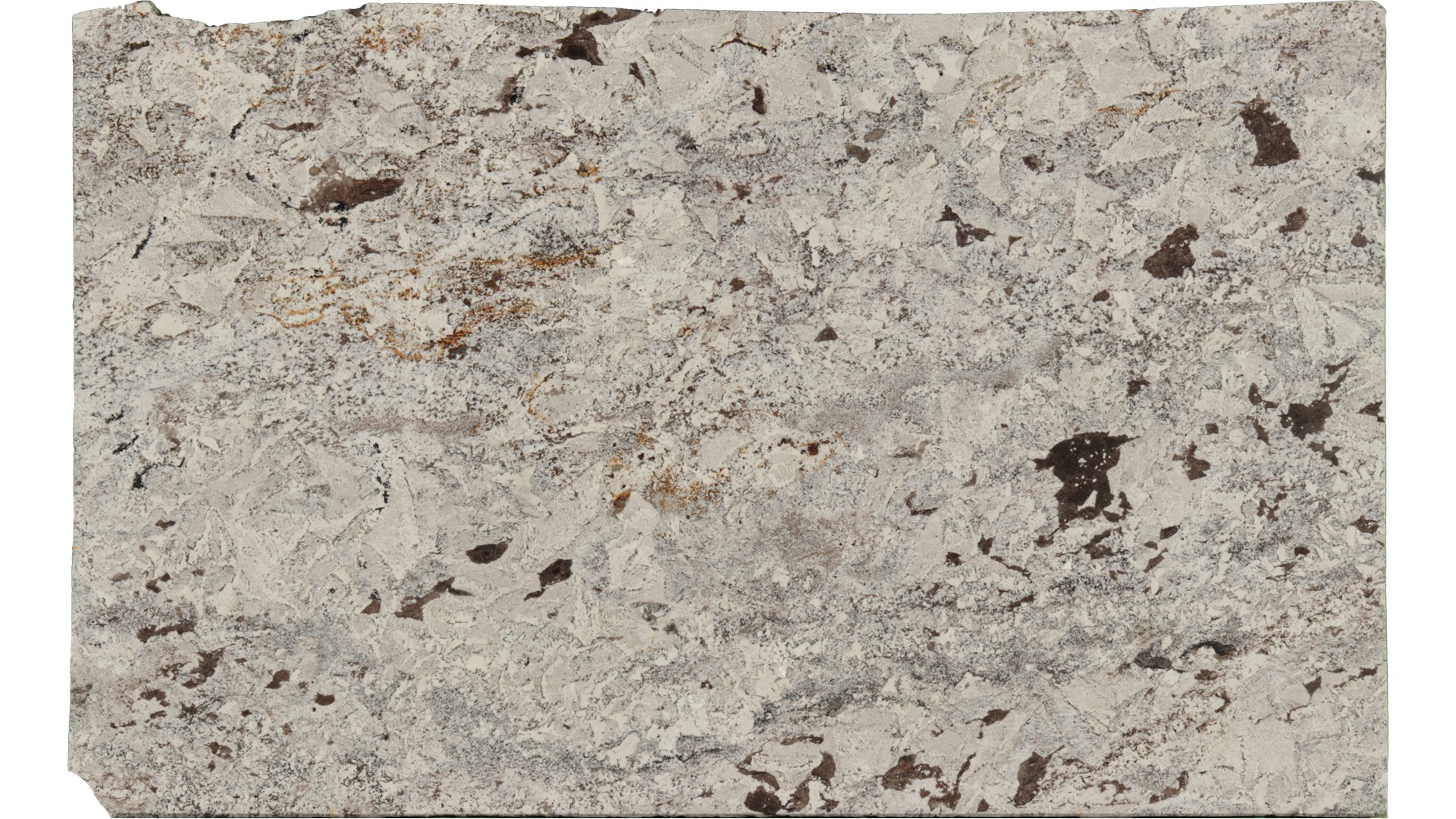 Crazy-Horse-White in Atlanta GA