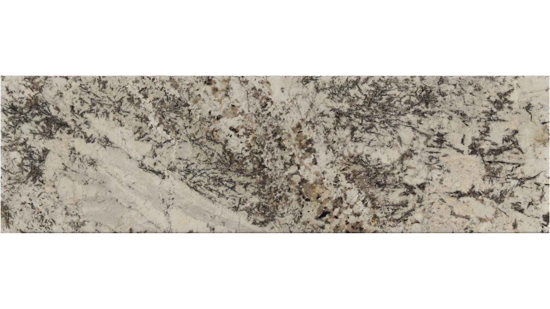 White-Orion in Atlanta GA