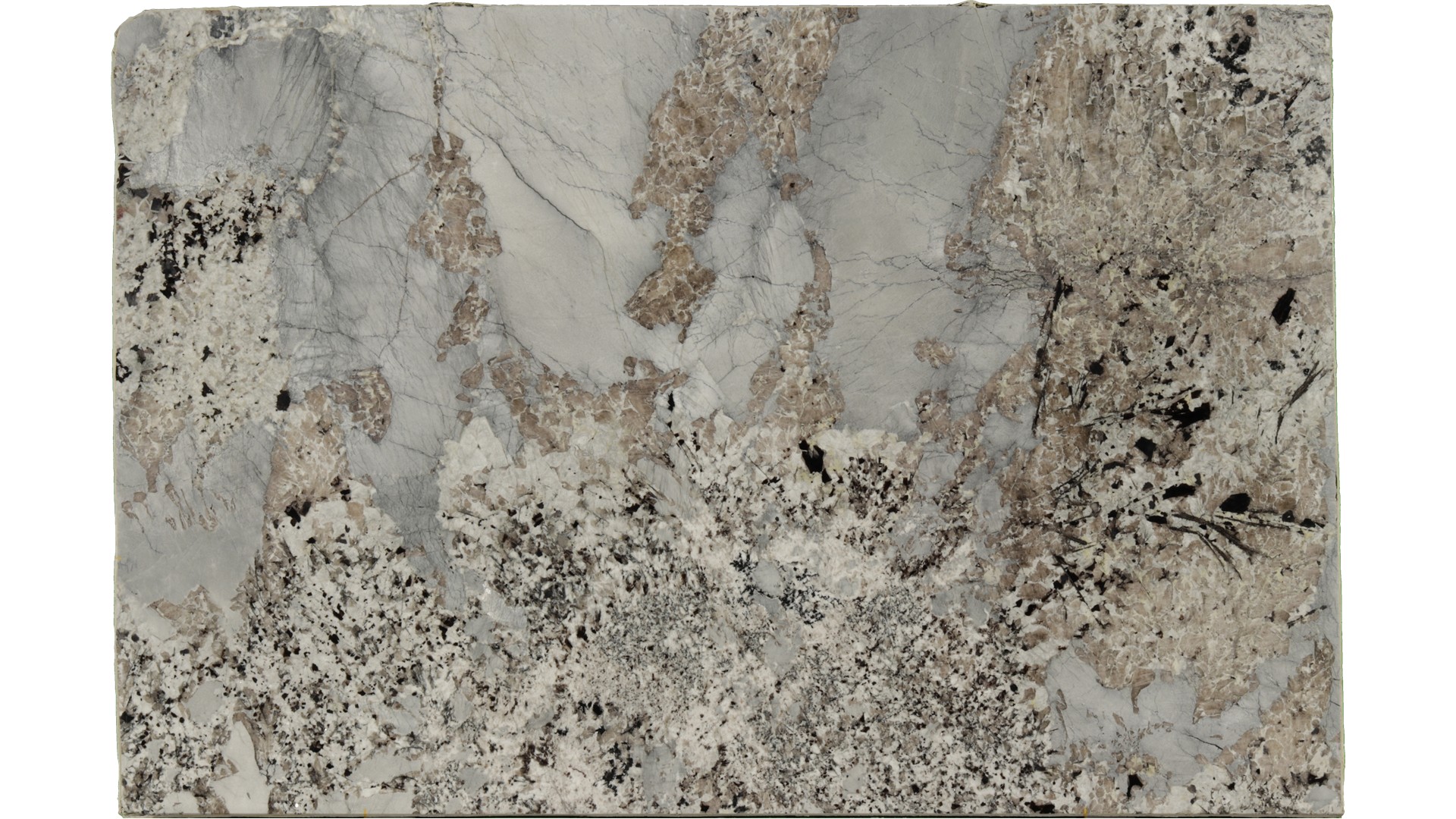 Patagonia-Blue in Atlanta GA