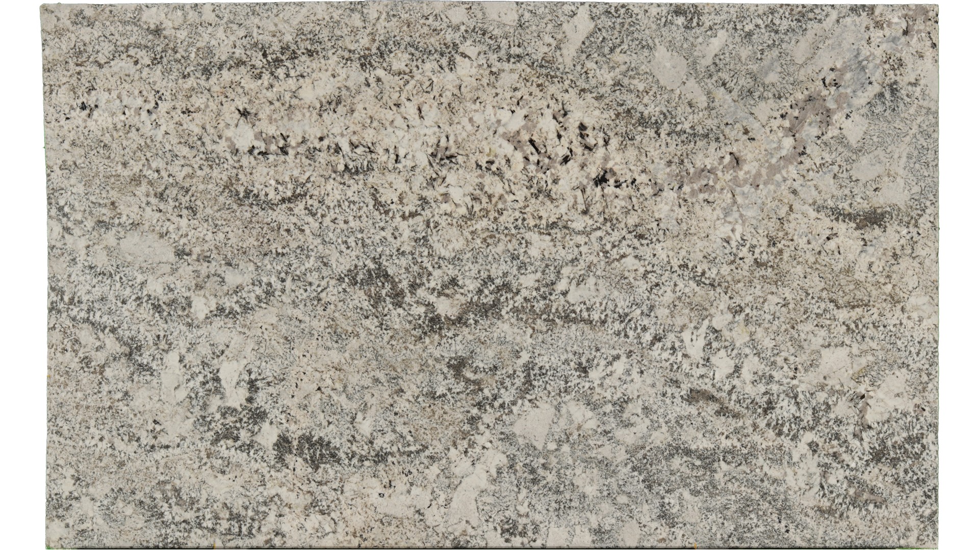 Arandis-White in Atlanta GA