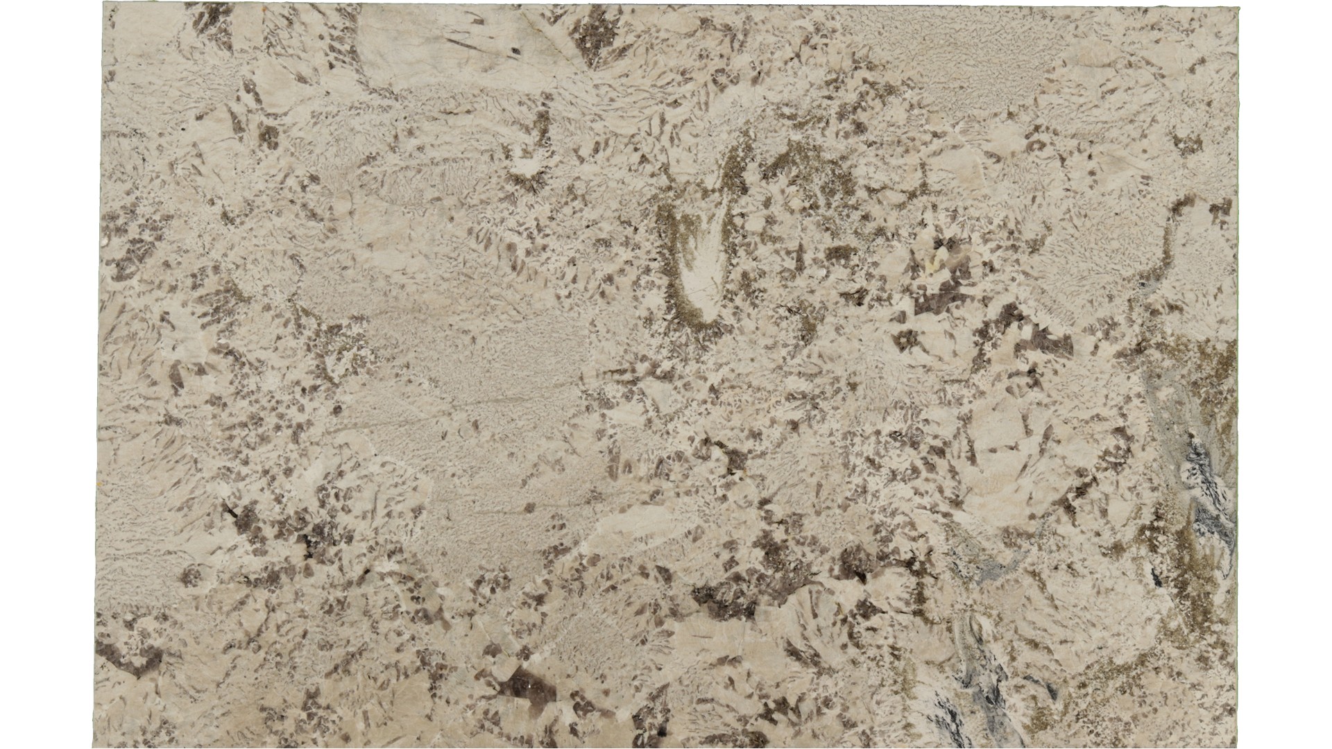 Antionette in Atlanta GA