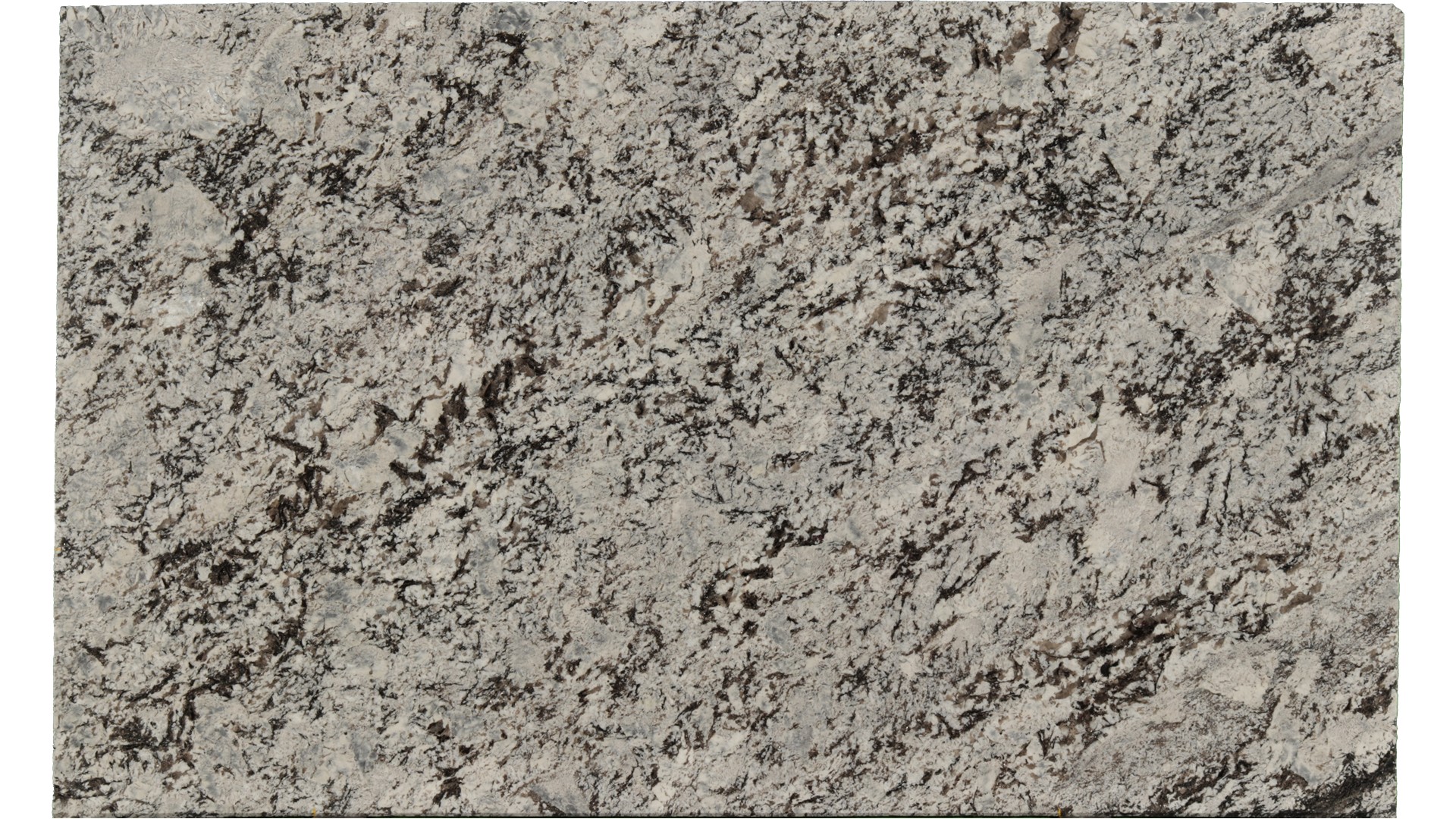 Lennon in Atlanta GA