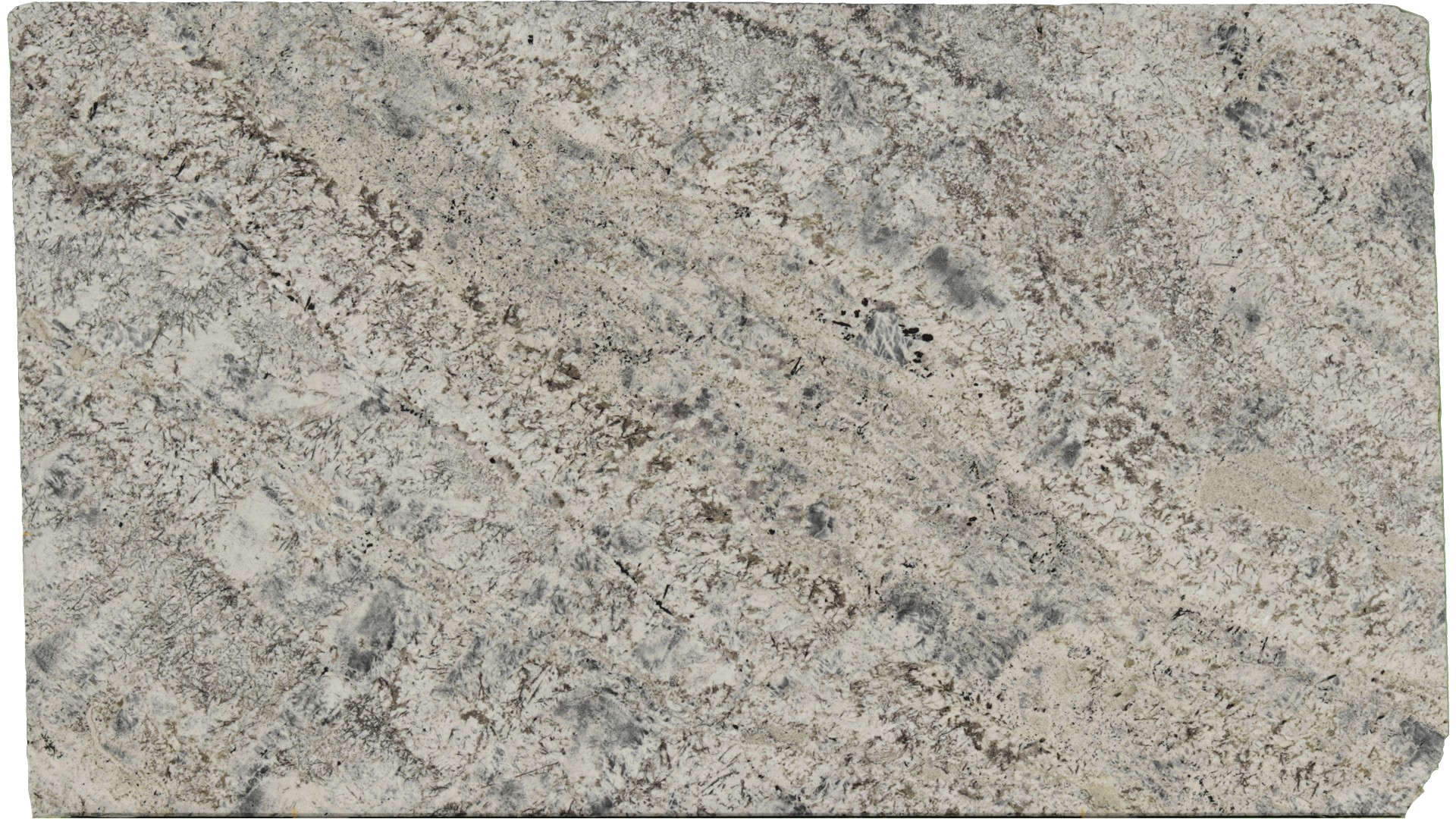 Sparkle-Grey in Atlanta GA