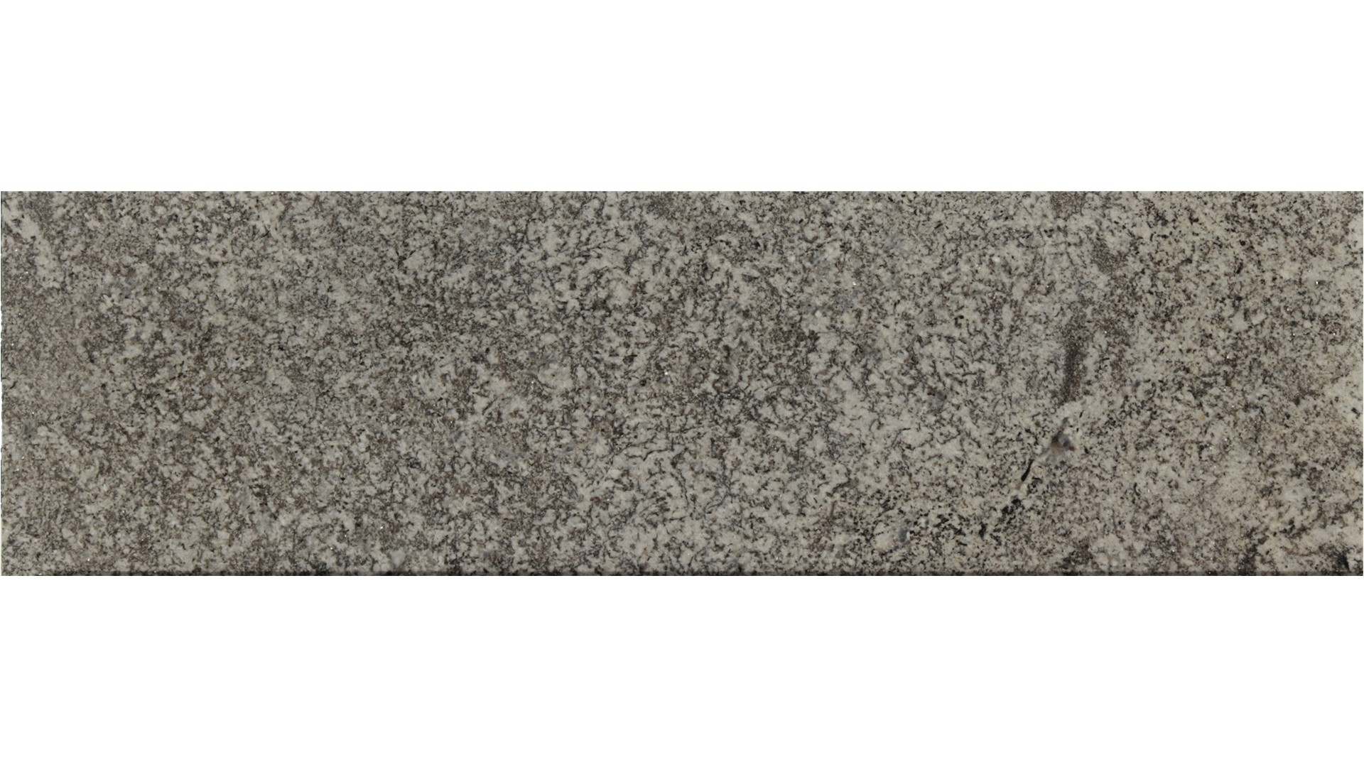 Sparkle-Grey in Atlanta GA