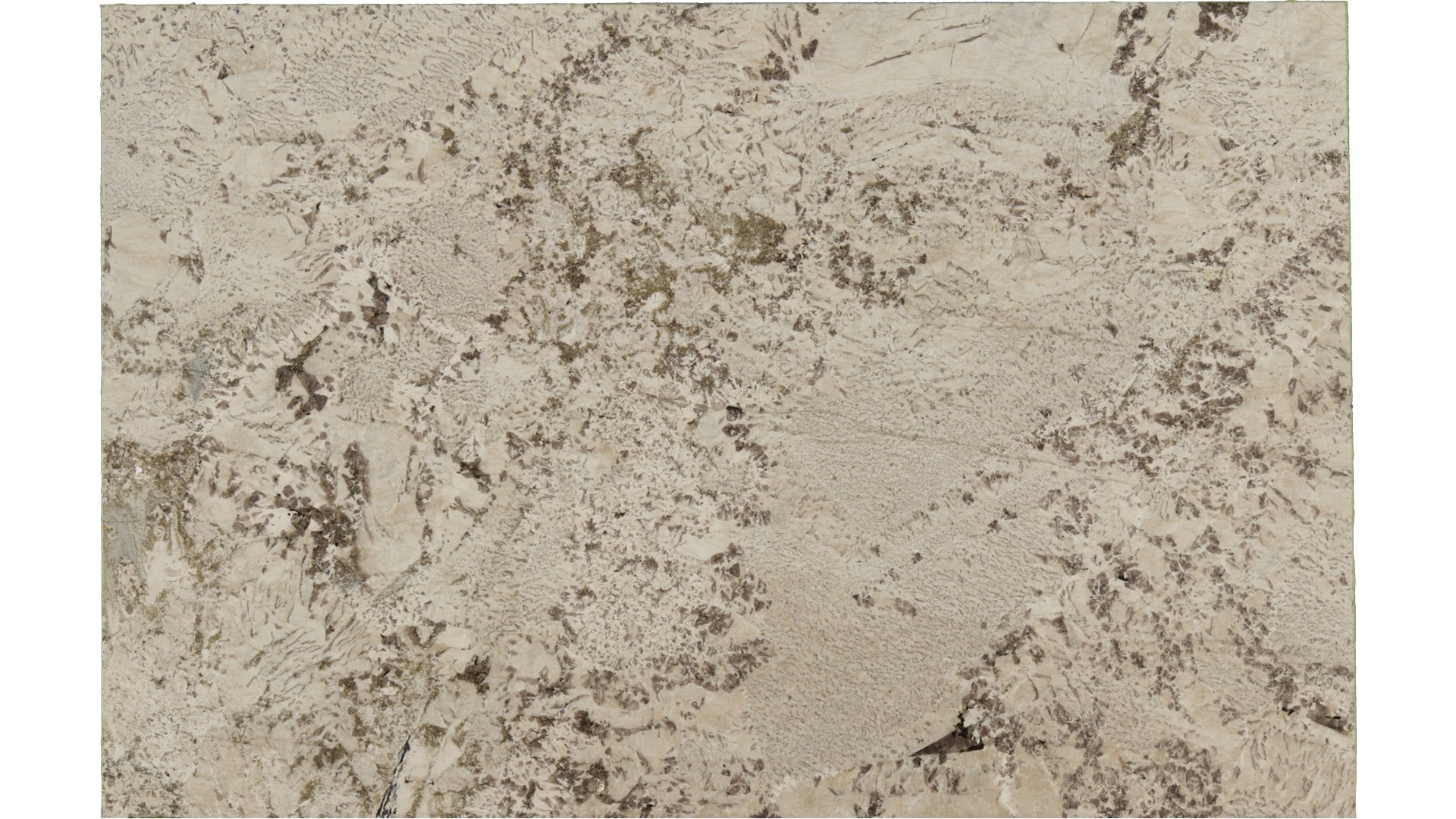 Antionette in Atlanta GA