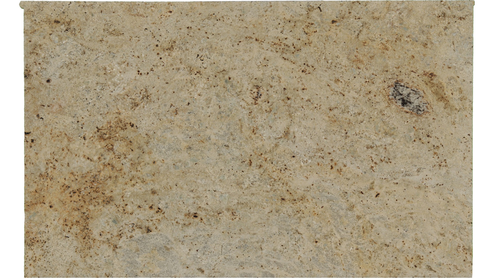 Colonial-Gold in Atlanta GA