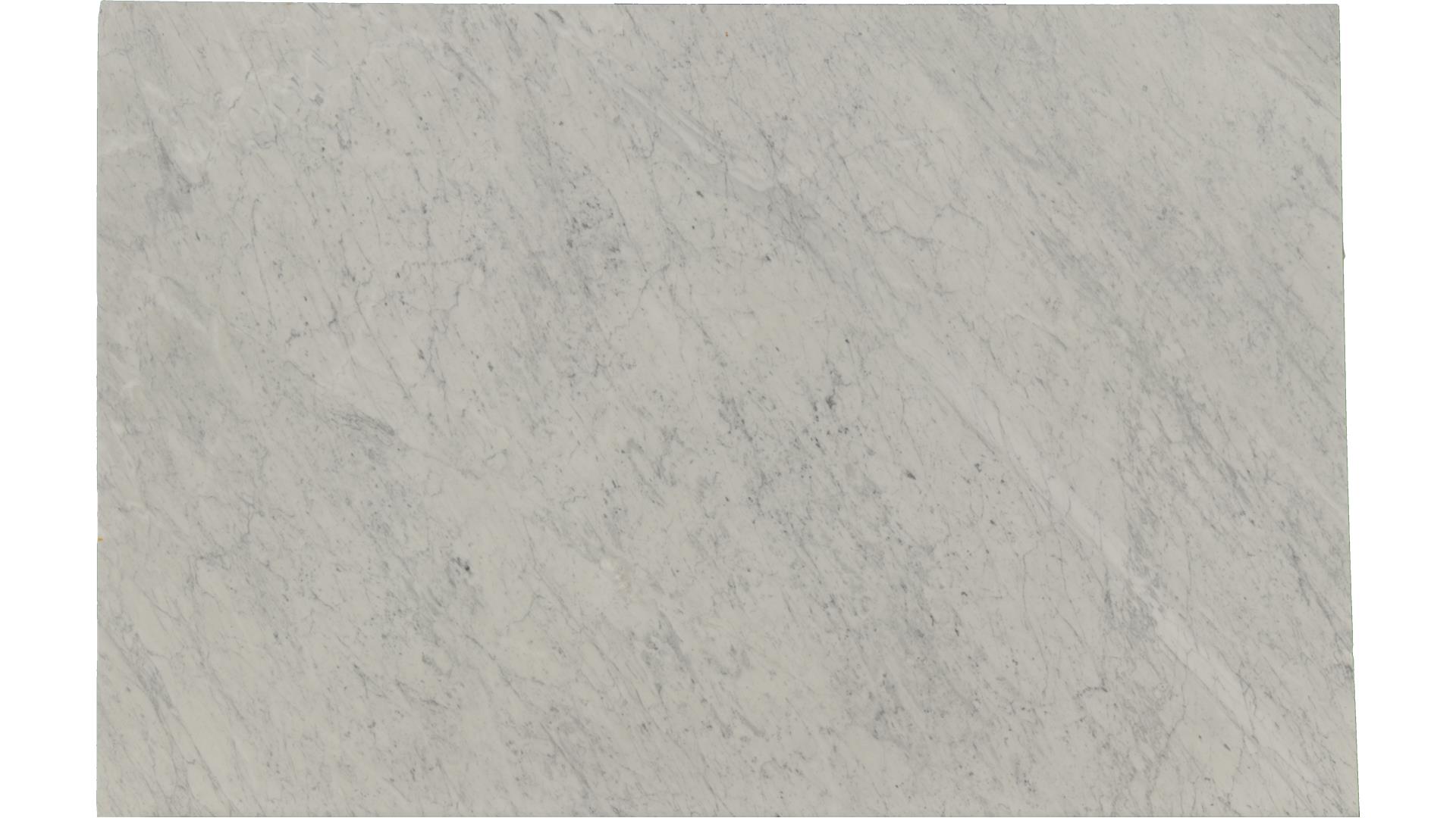 White-Carrara in Atlanta GA