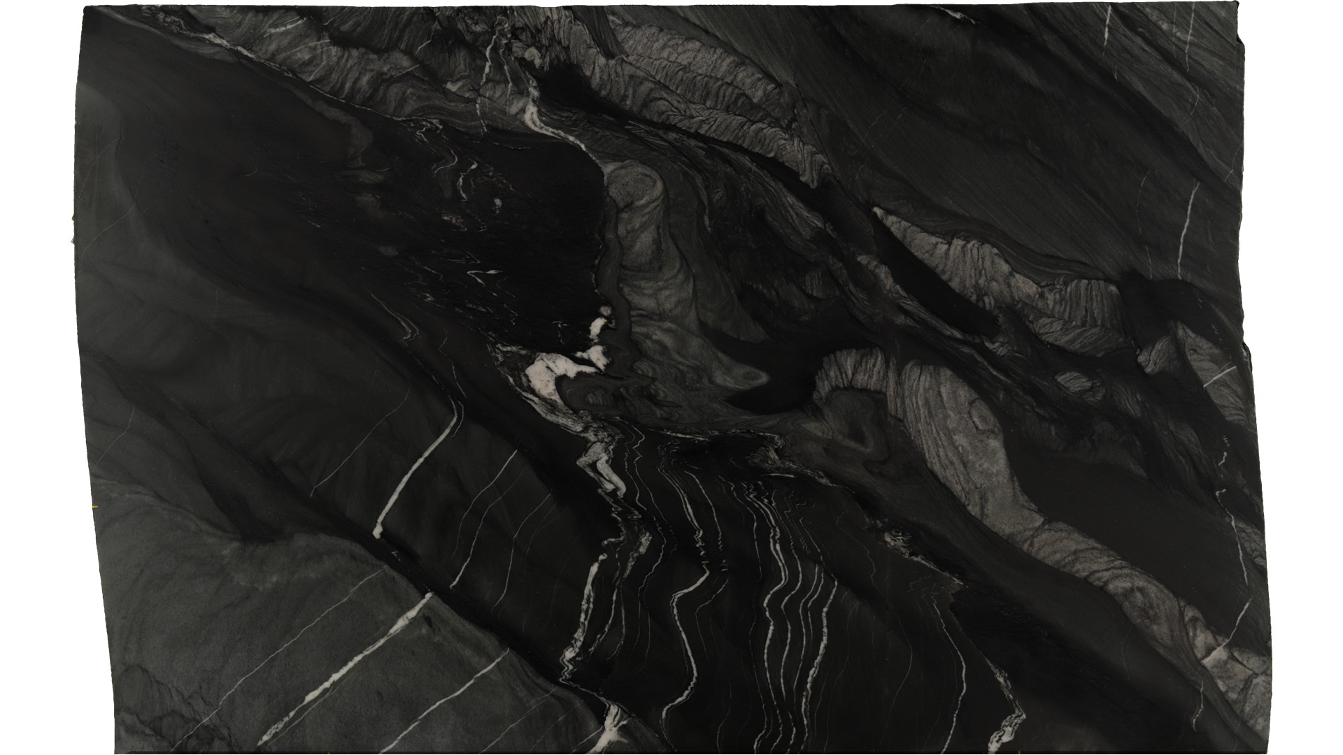 Black-Tempest in Atlanta GA