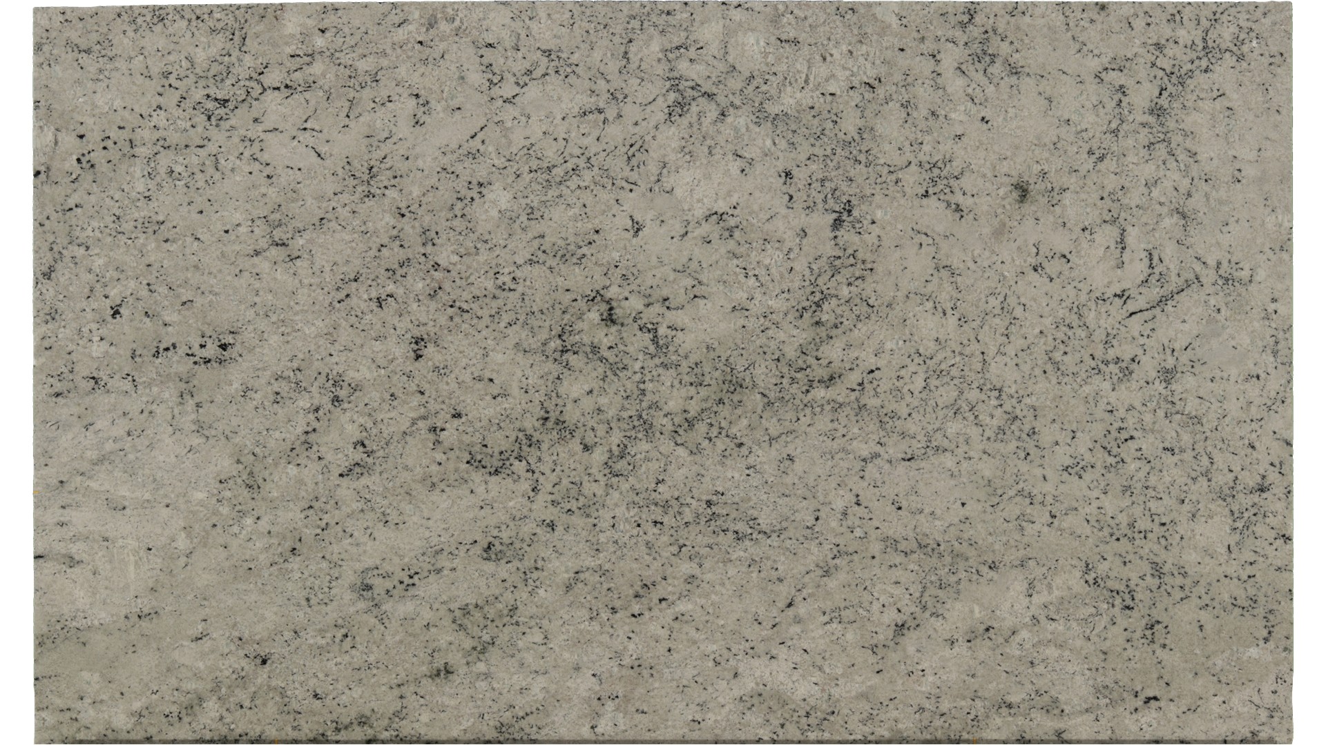 Colonial-White in Atlanta GA