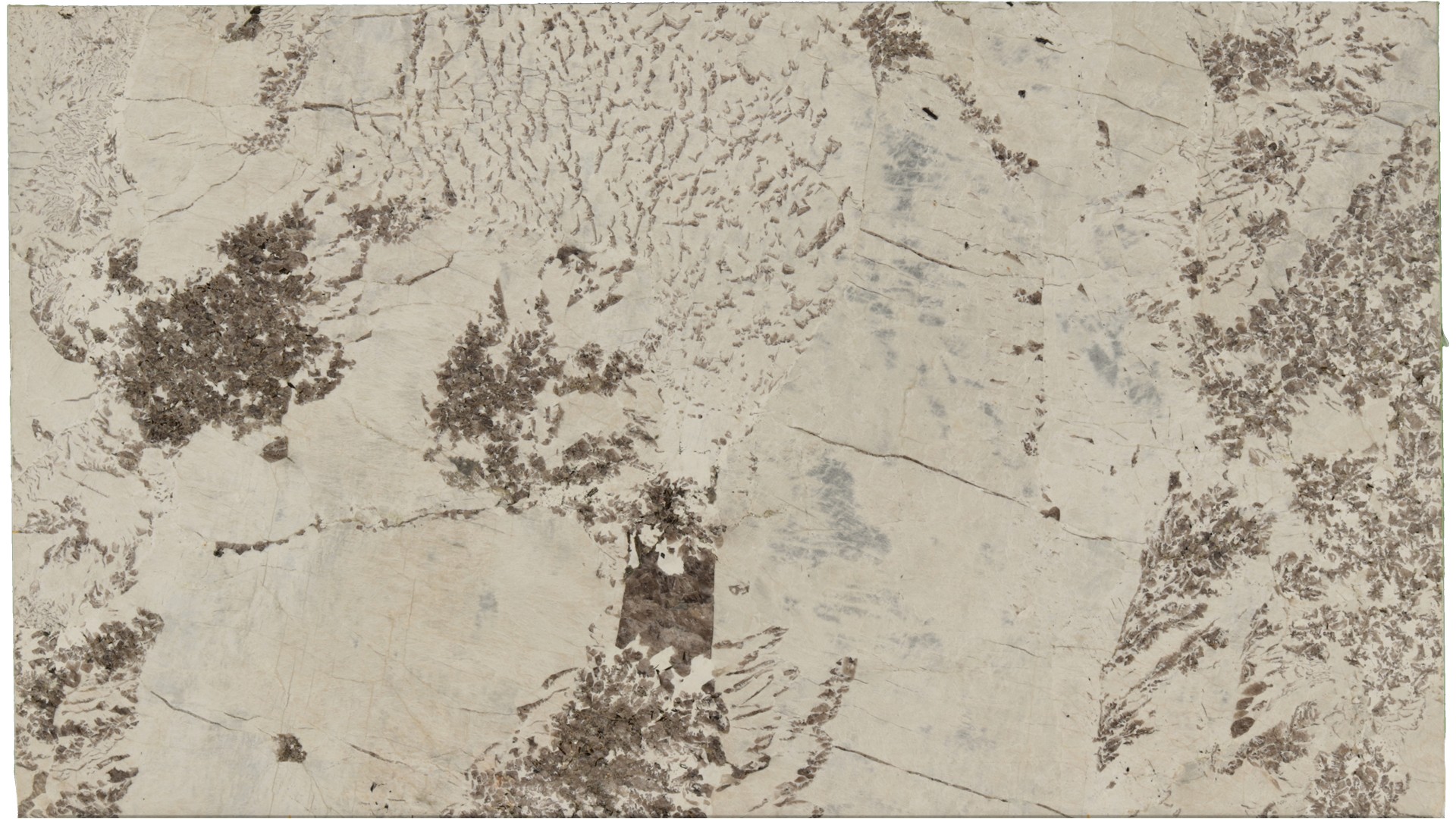 Antionette in Atlanta GA