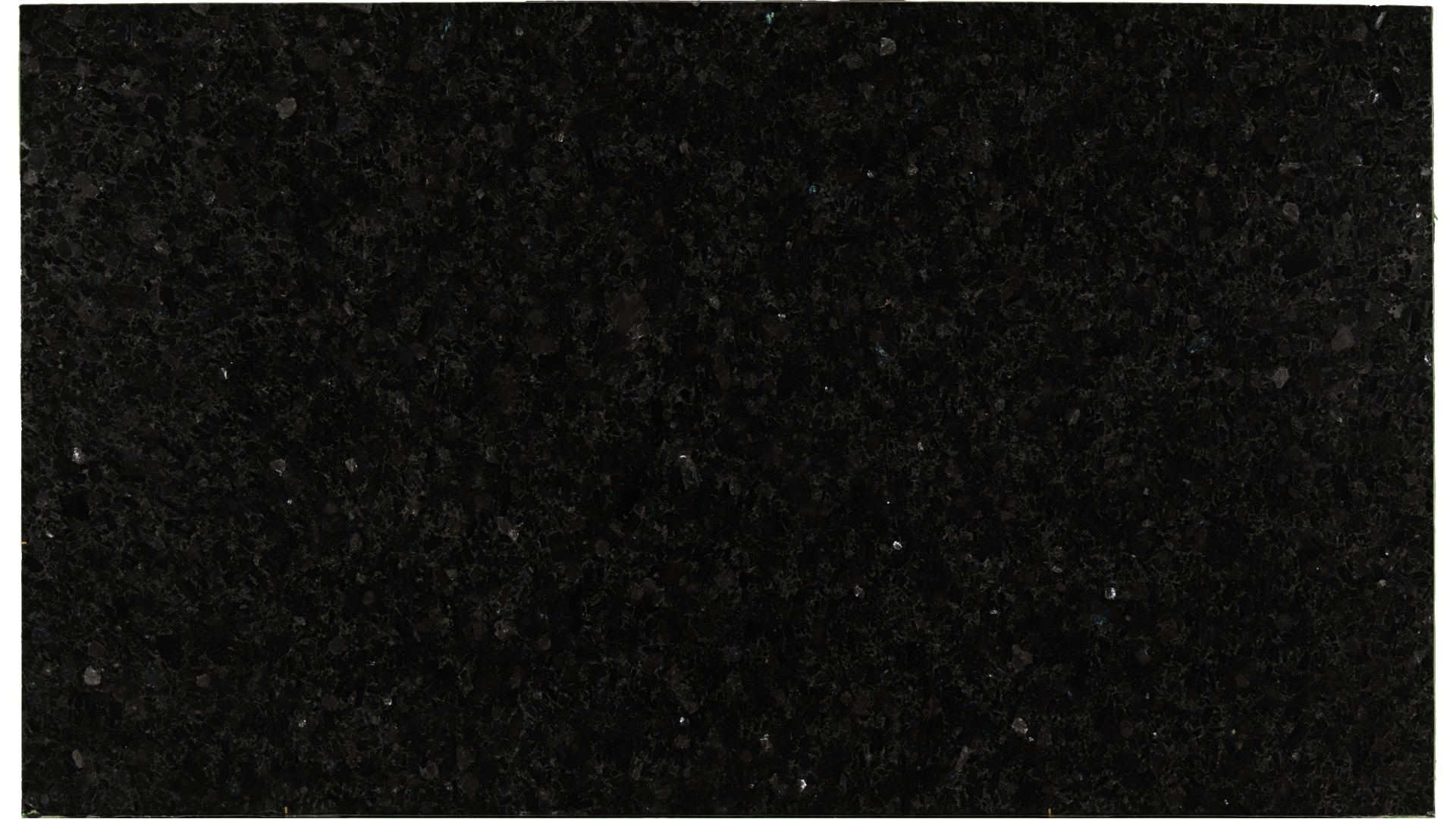 Volga-Blue-Classic in Atlanta GA