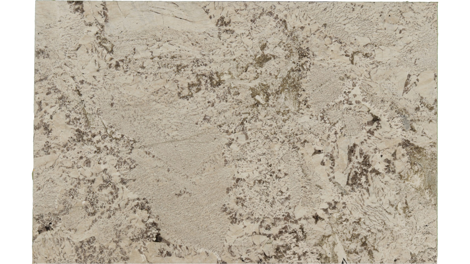 Antionette in Atlanta GA