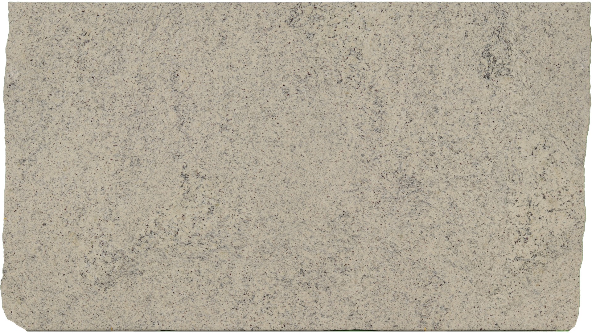 Dallas-White in Atlanta GA