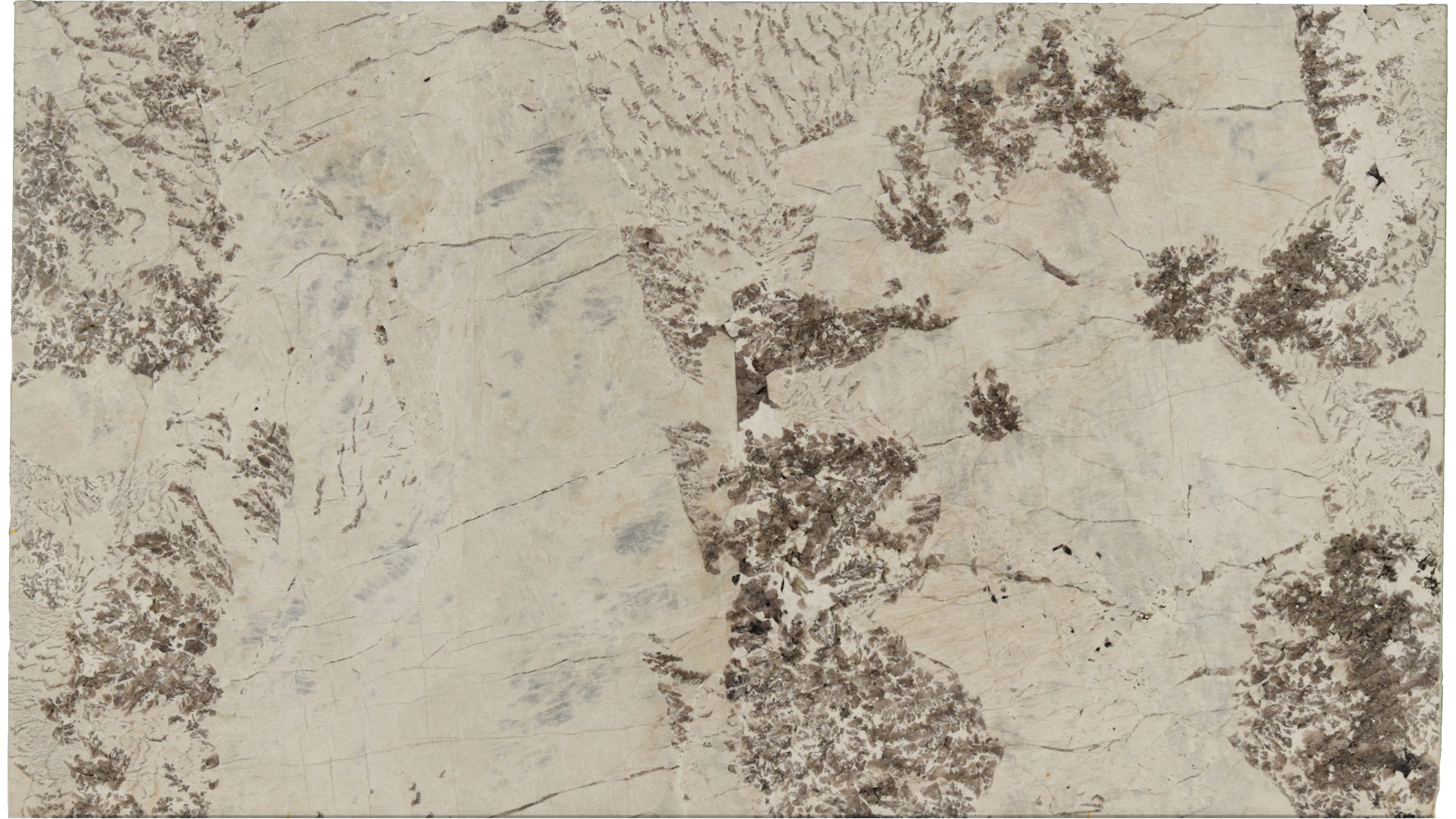 Antionette in Atlanta GA