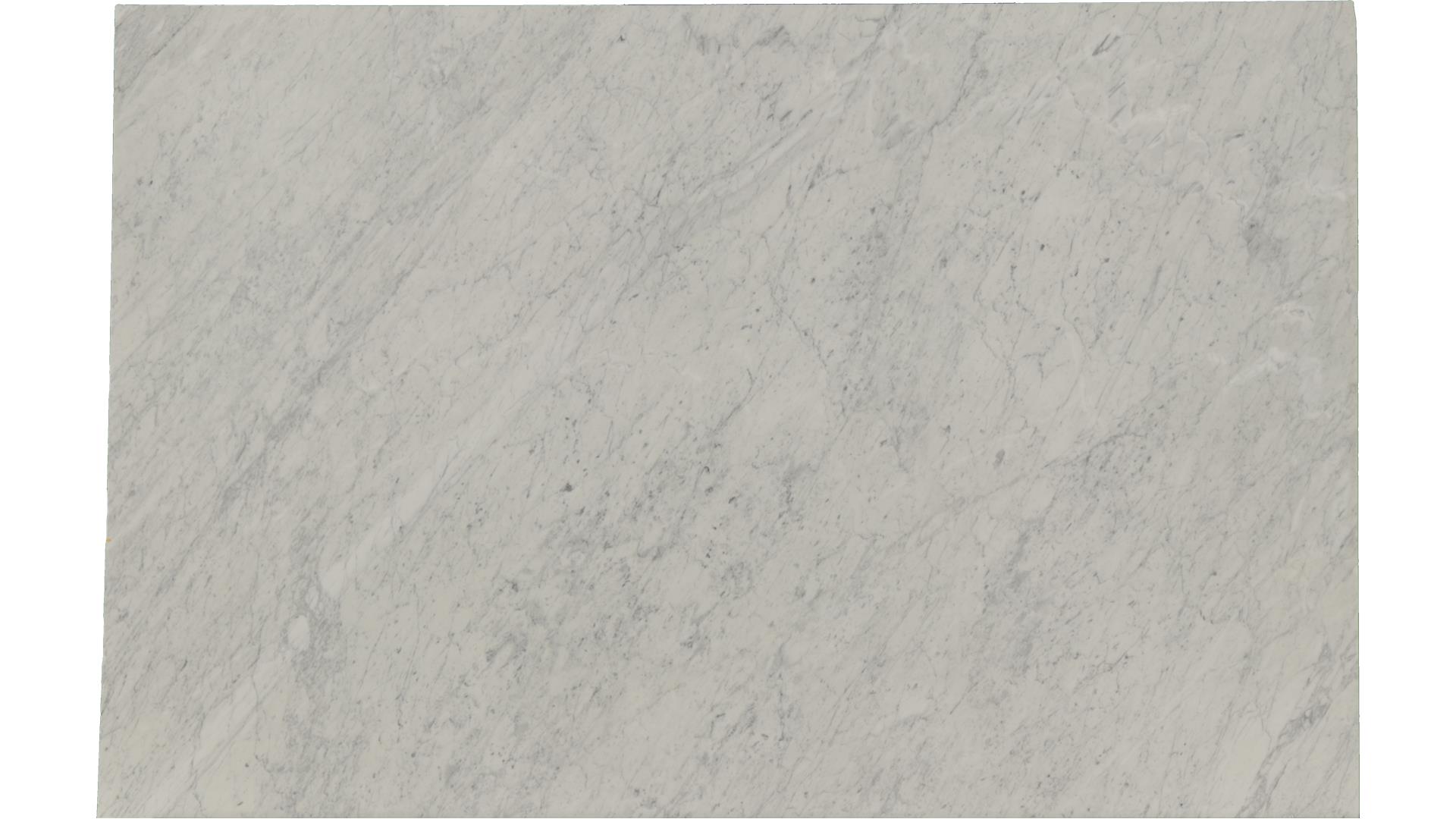 White-Carrara in Atlanta GA