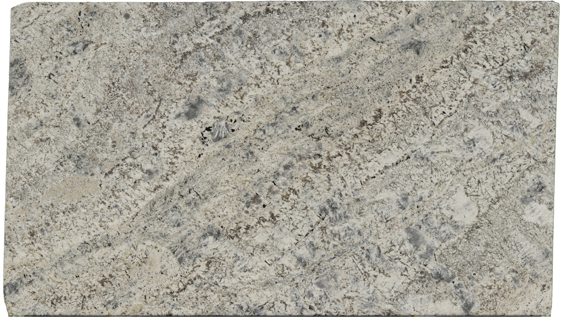 Sparkle-Grey in Atlanta GA