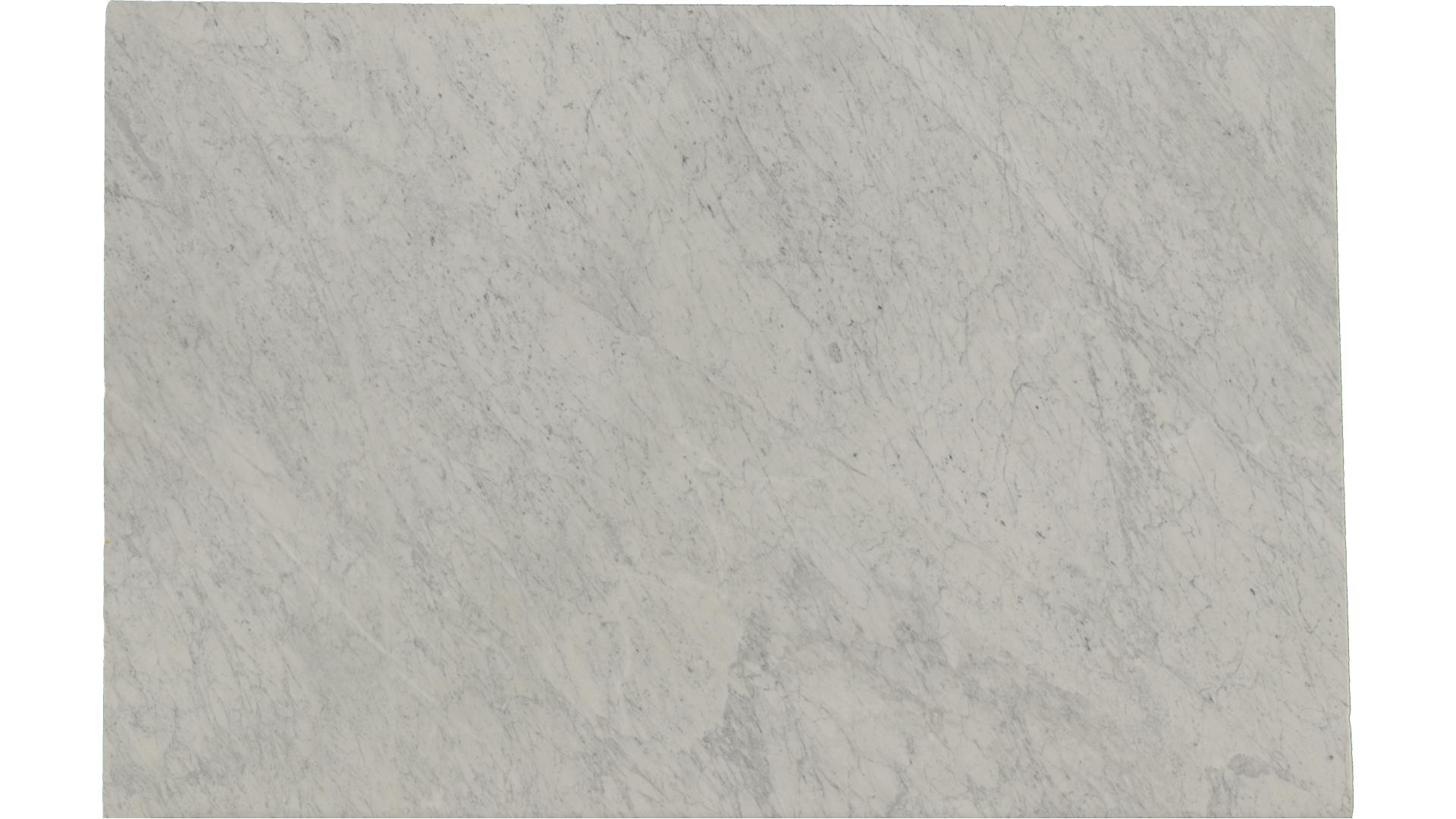White-Carrara in Atlanta GA