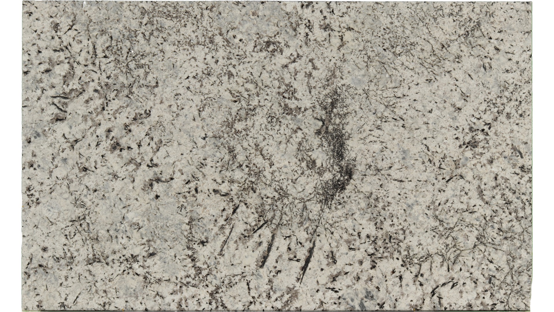 Persa-Blue in Atlanta GA