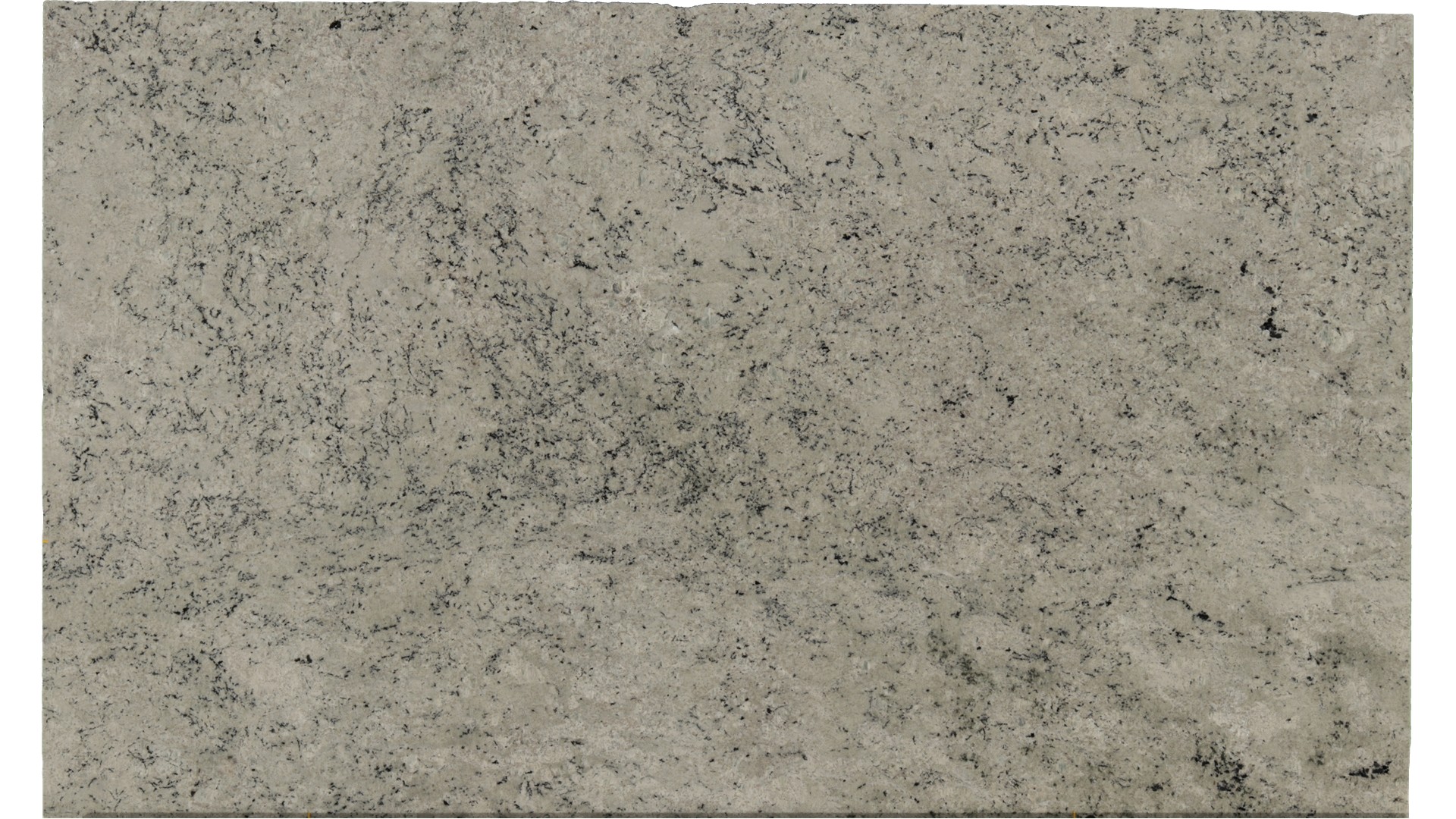 Colonial-White in Atlanta GA