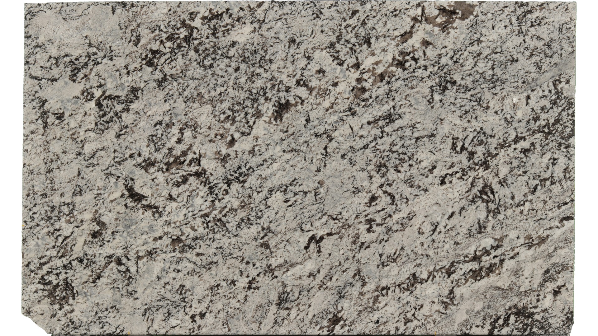 Lennon in Atlanta GA