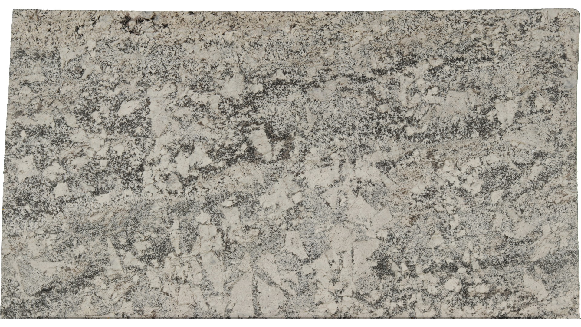 Arandis-White in Atlanta GA