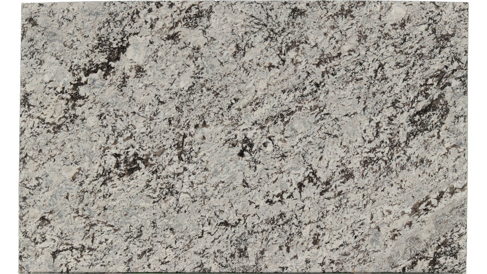 Lennon in Atlanta GA