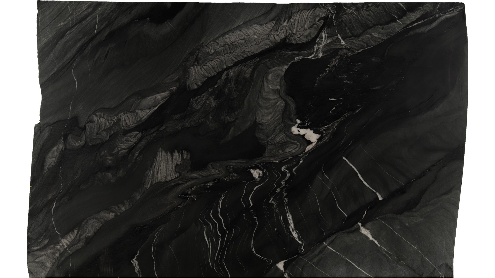 Black-Tempest in Atlanta GA