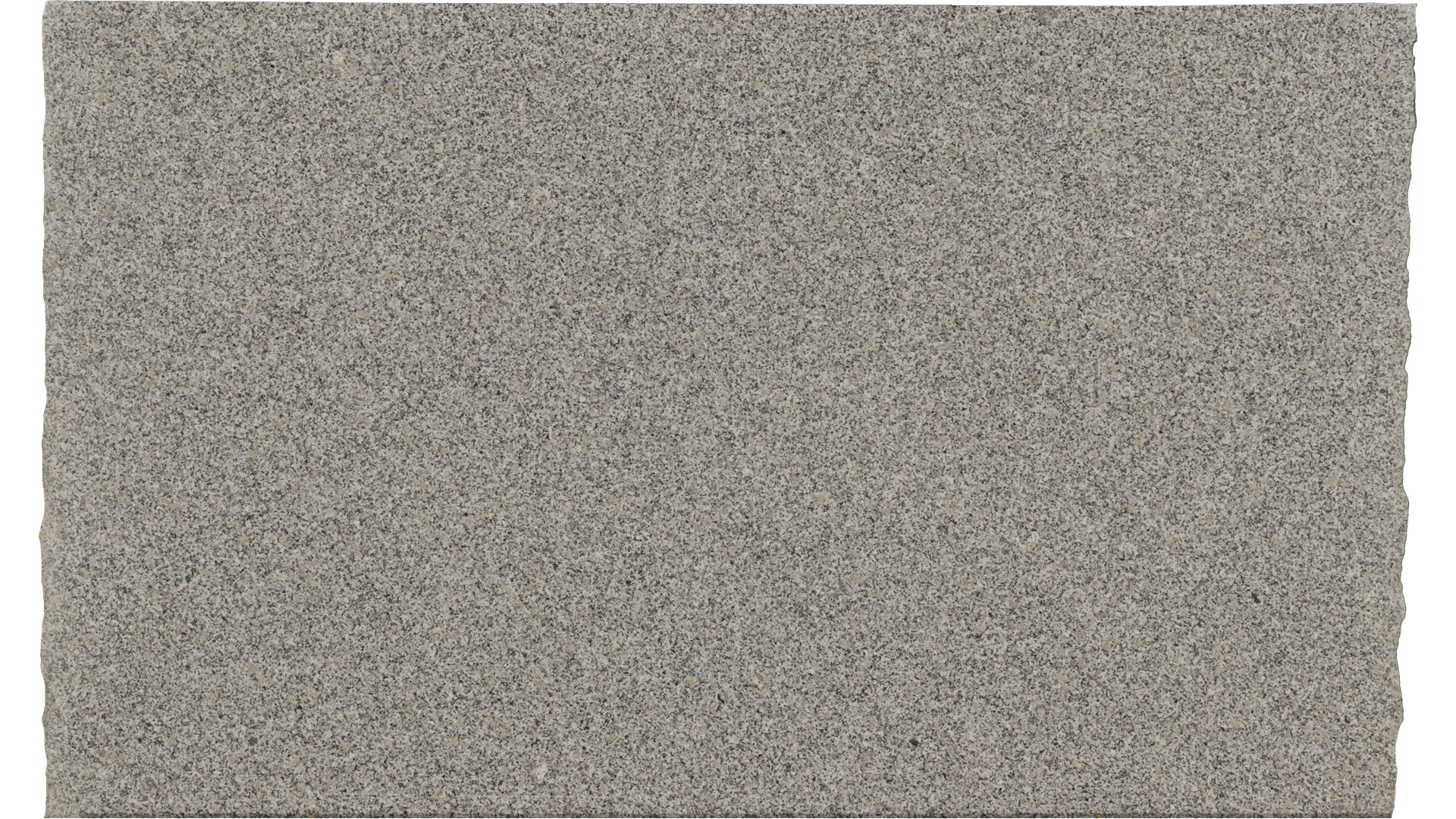 Luna-Pearl in Atlanta GA