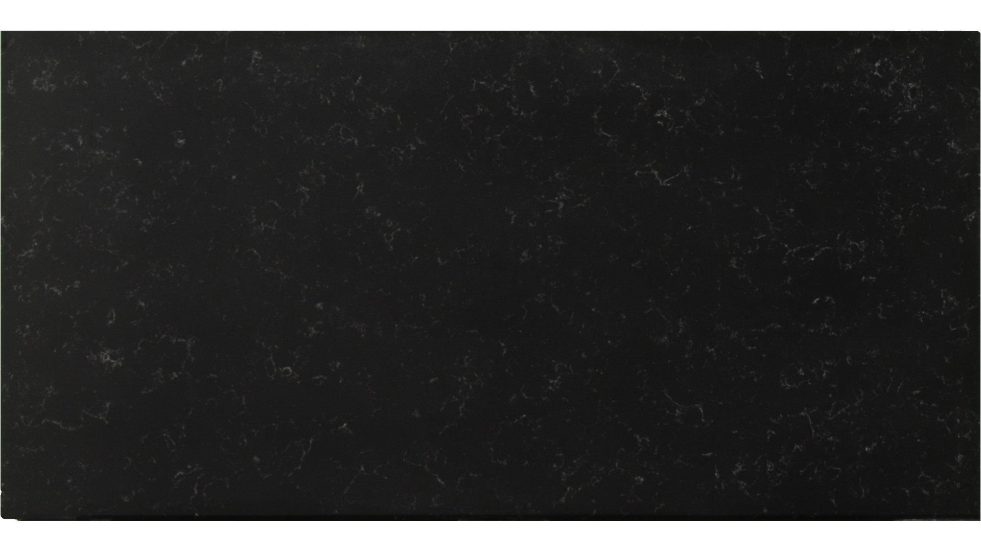 Silhouette in Atlanta GA